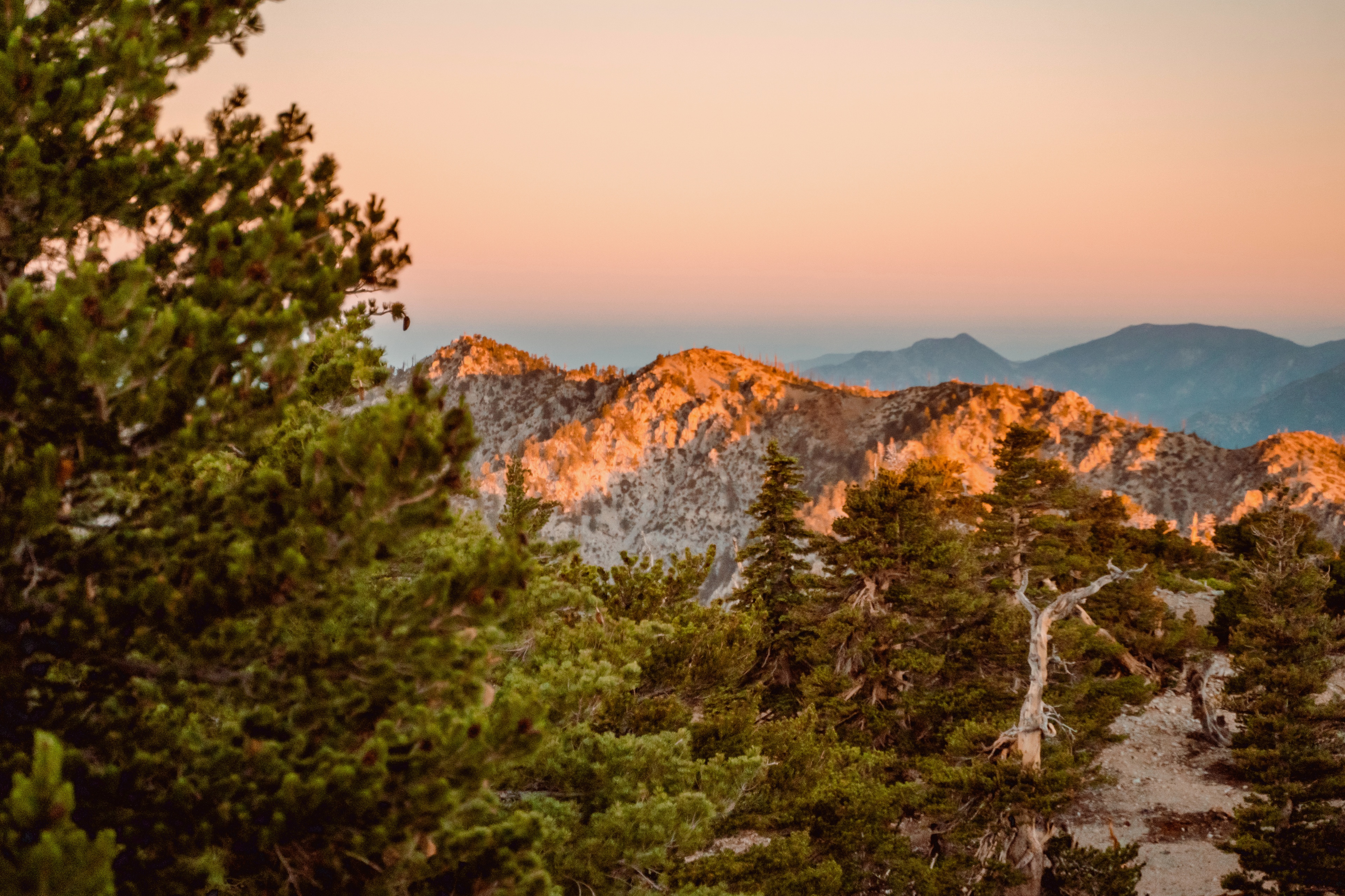 A decorative image from Usal Project