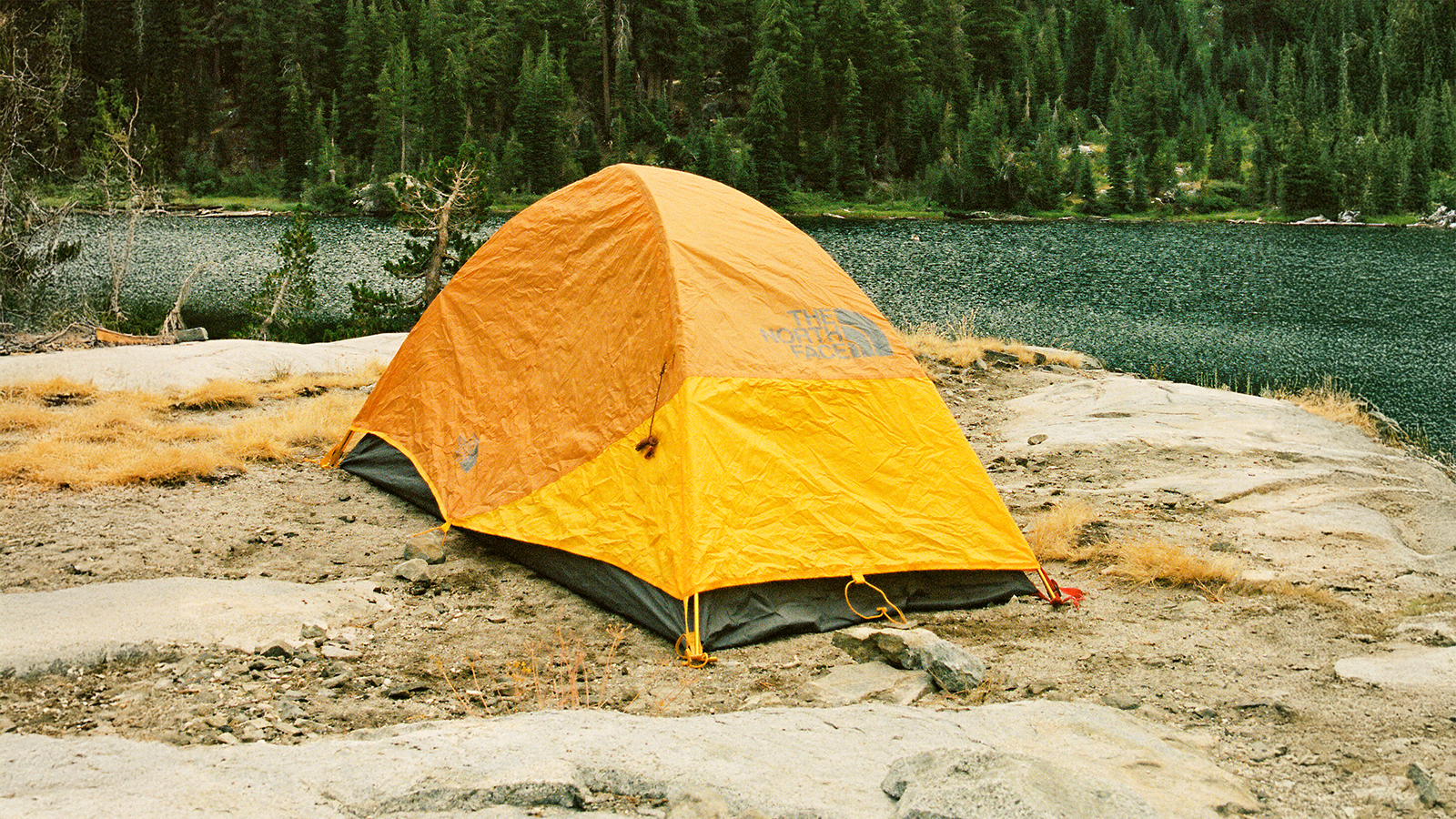 the north face tent - A decorative image from Usal Project