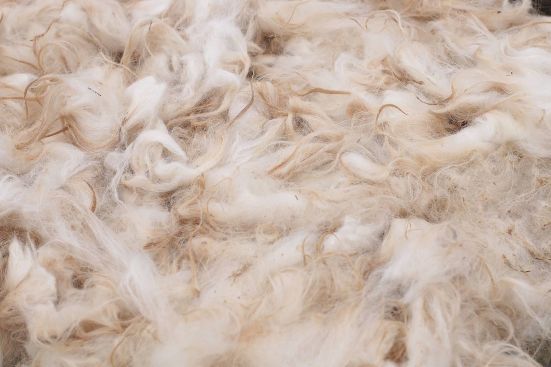 A decorative image from Usal Project