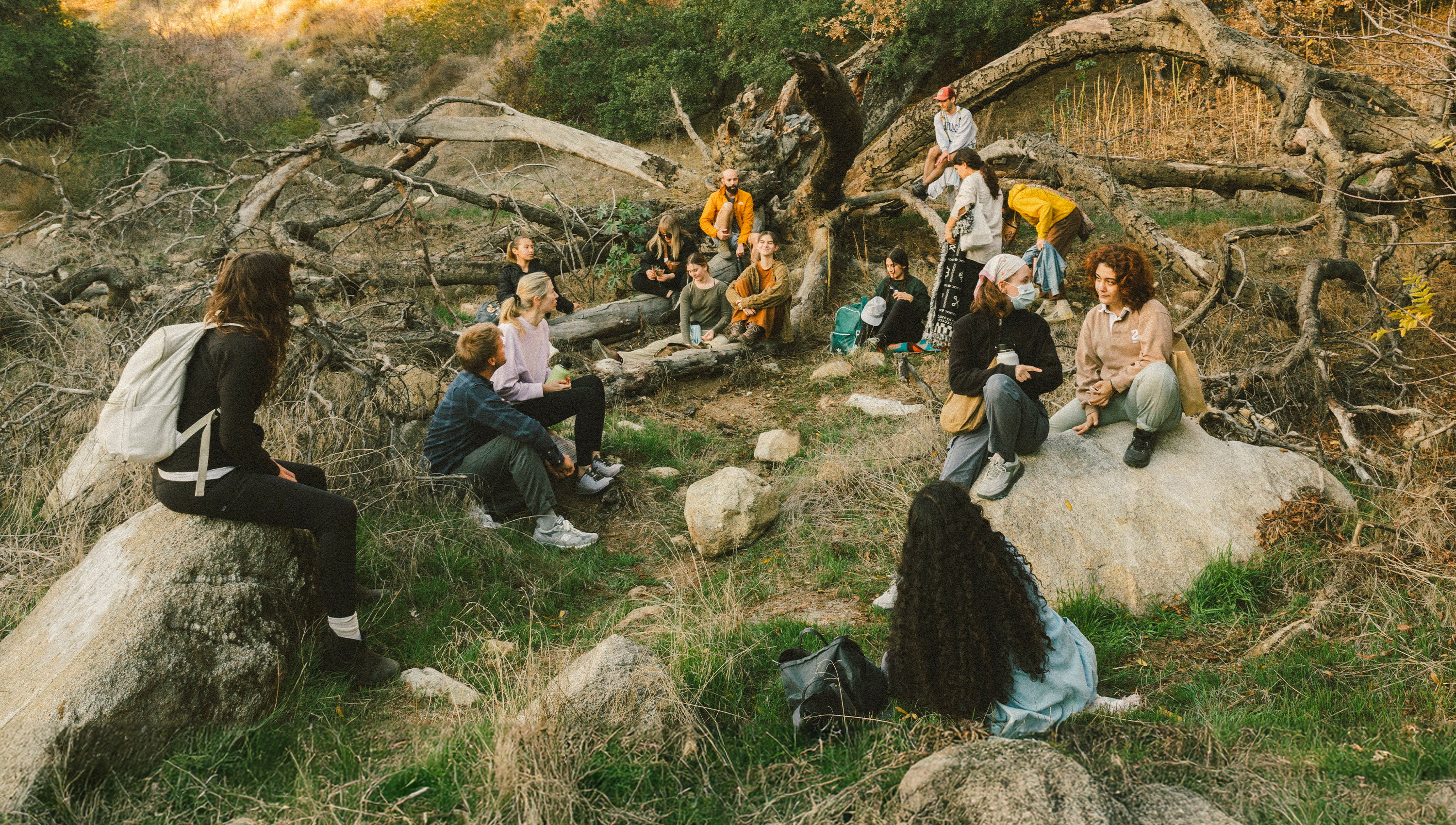 A decorative image from Usal Project