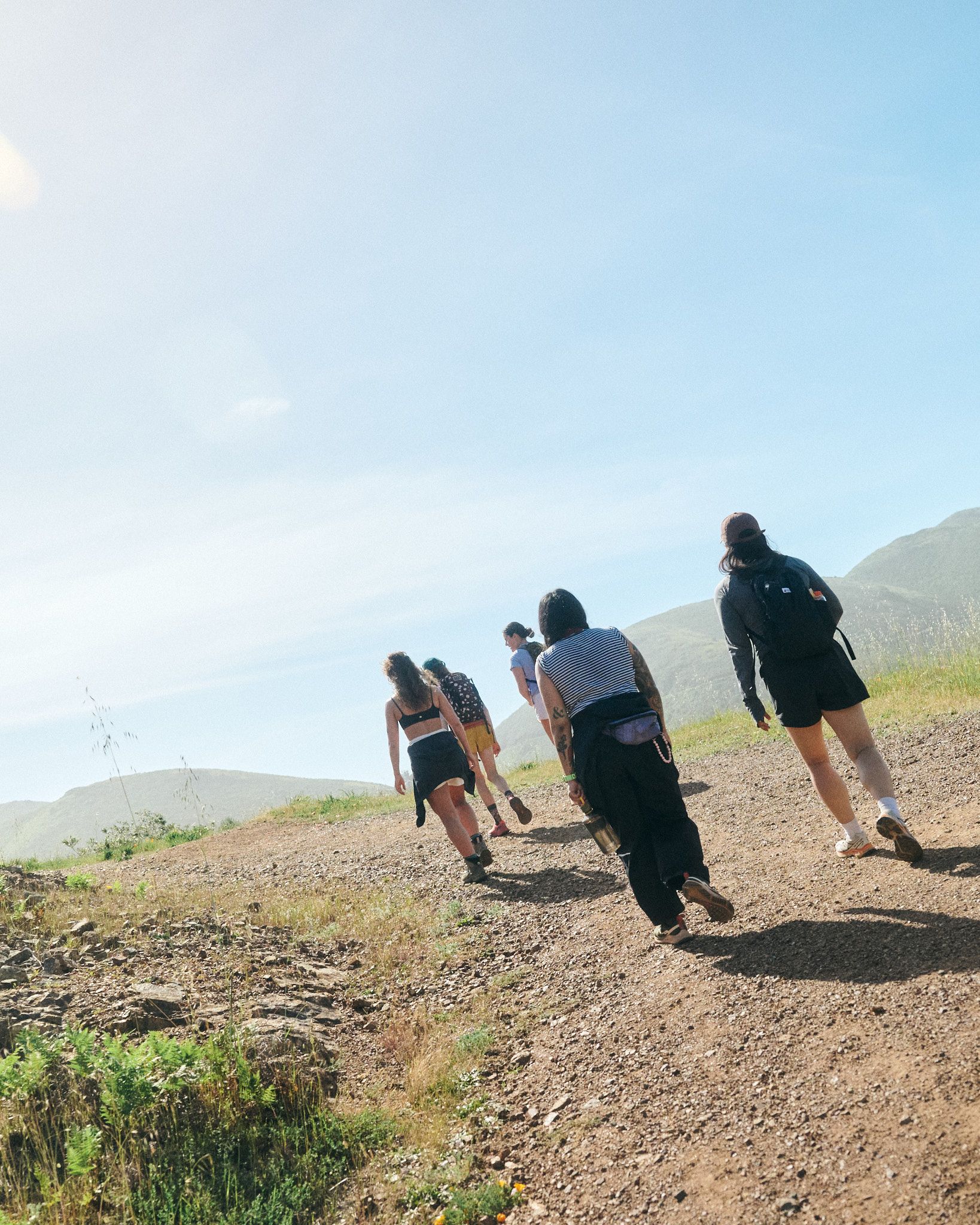 A decorative image from Usal Project