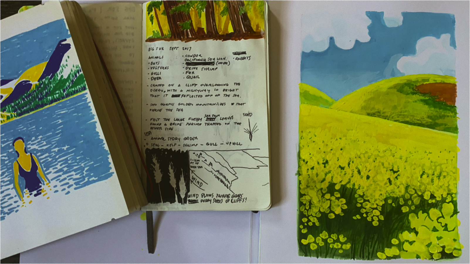 A decorative image from Usal Project