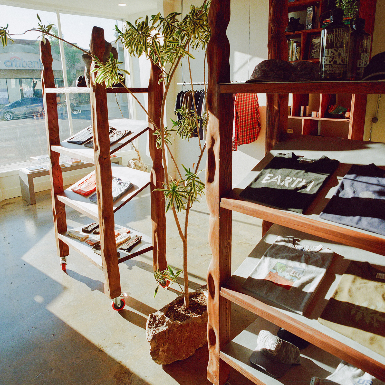 A decorative image from Usal Project