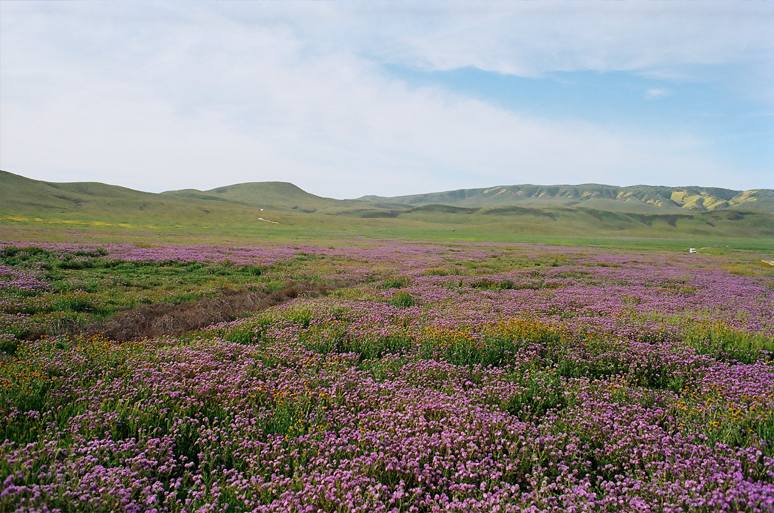 A decorative image from Usal Project