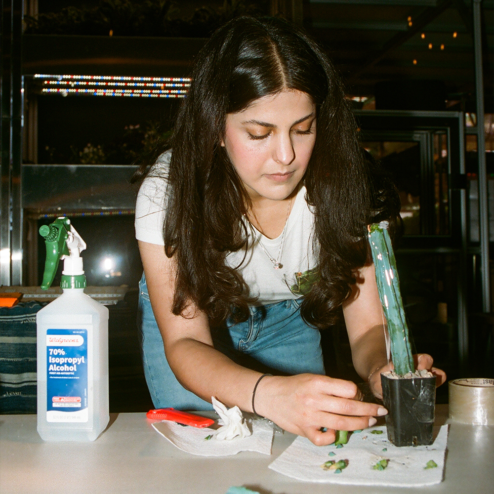 A decorative image from Usal Project