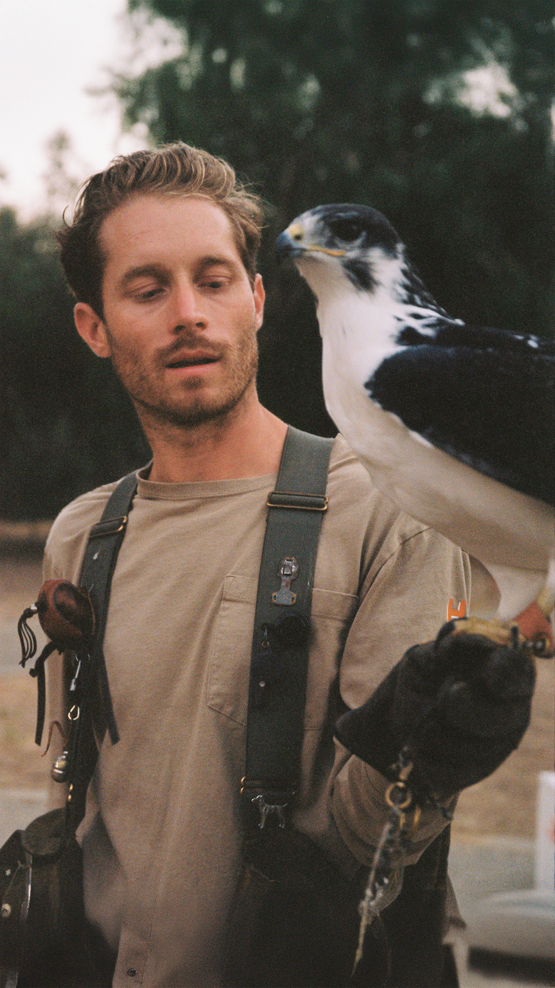 Hero Poster Mobile - A decorative image from Usal Project