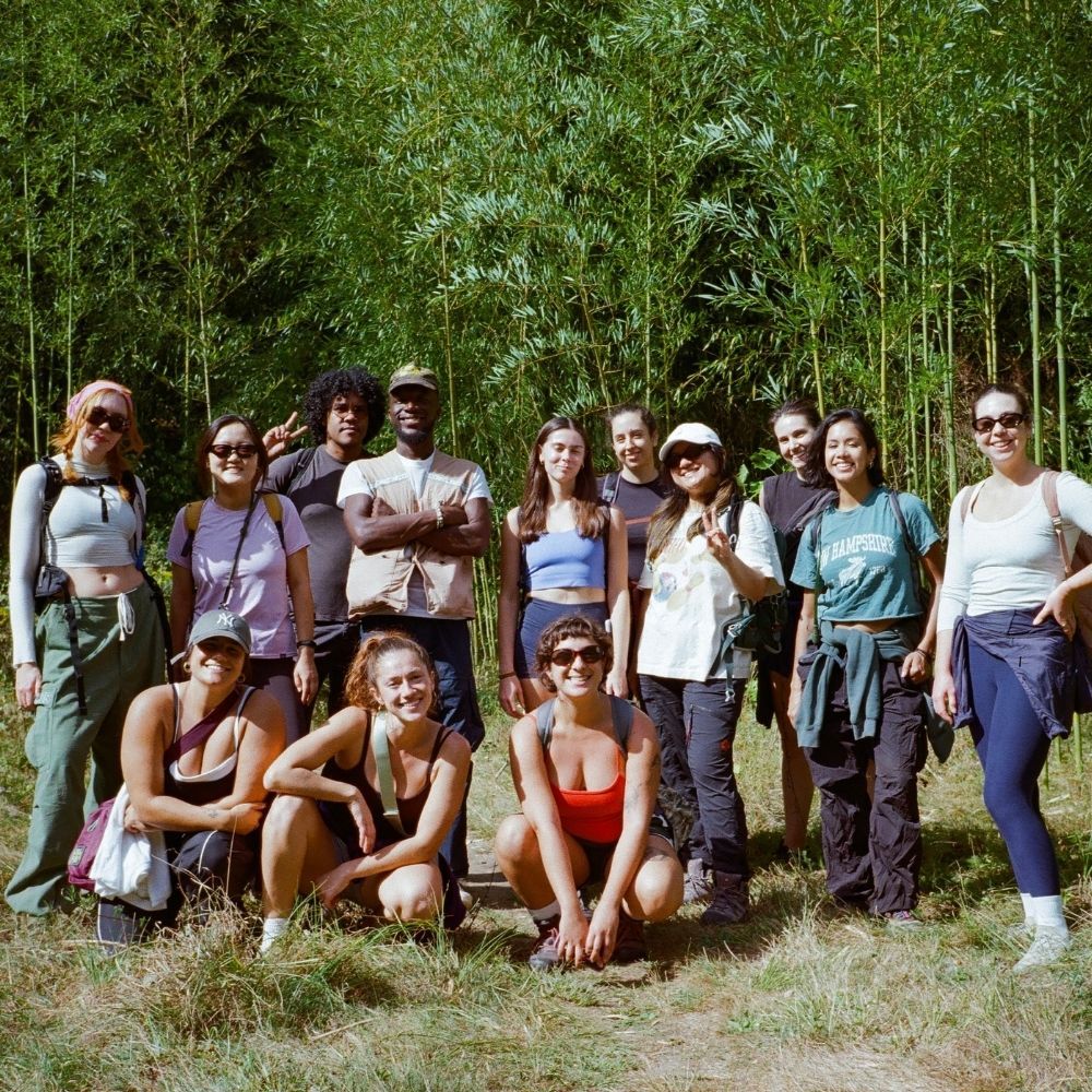 A decorative image from Usal Project