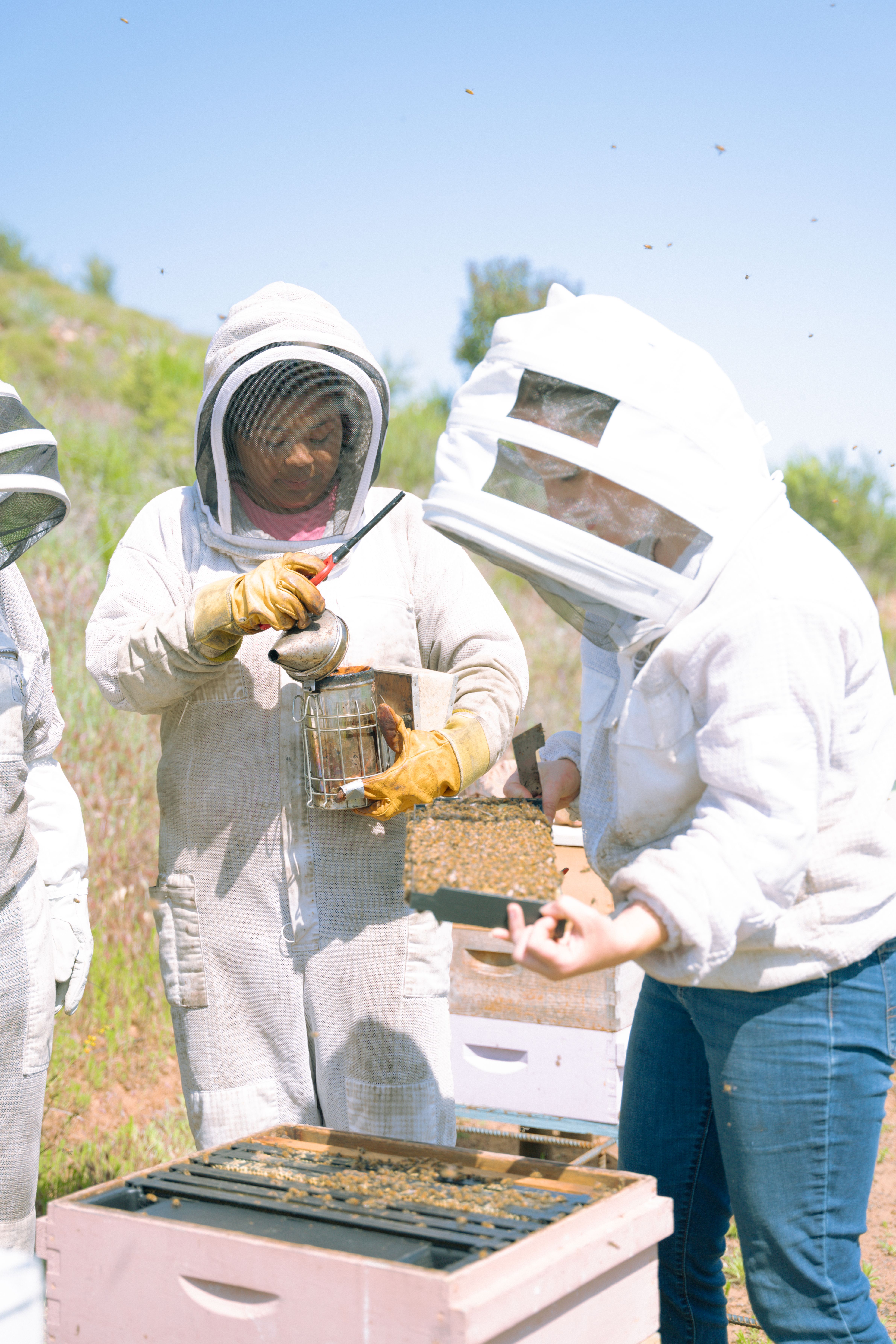 A decorative image from Usal Project