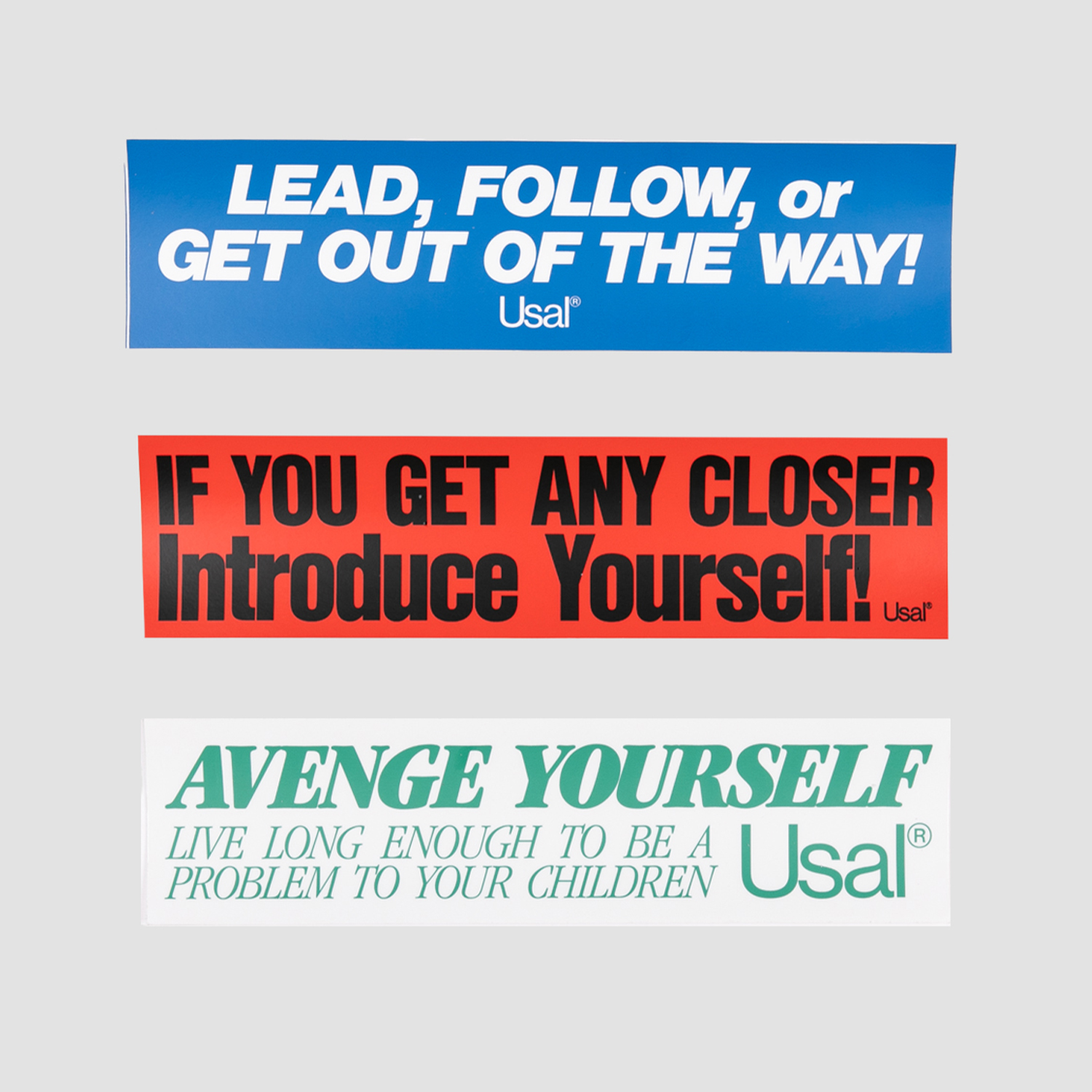 A decorative image from Usal Project