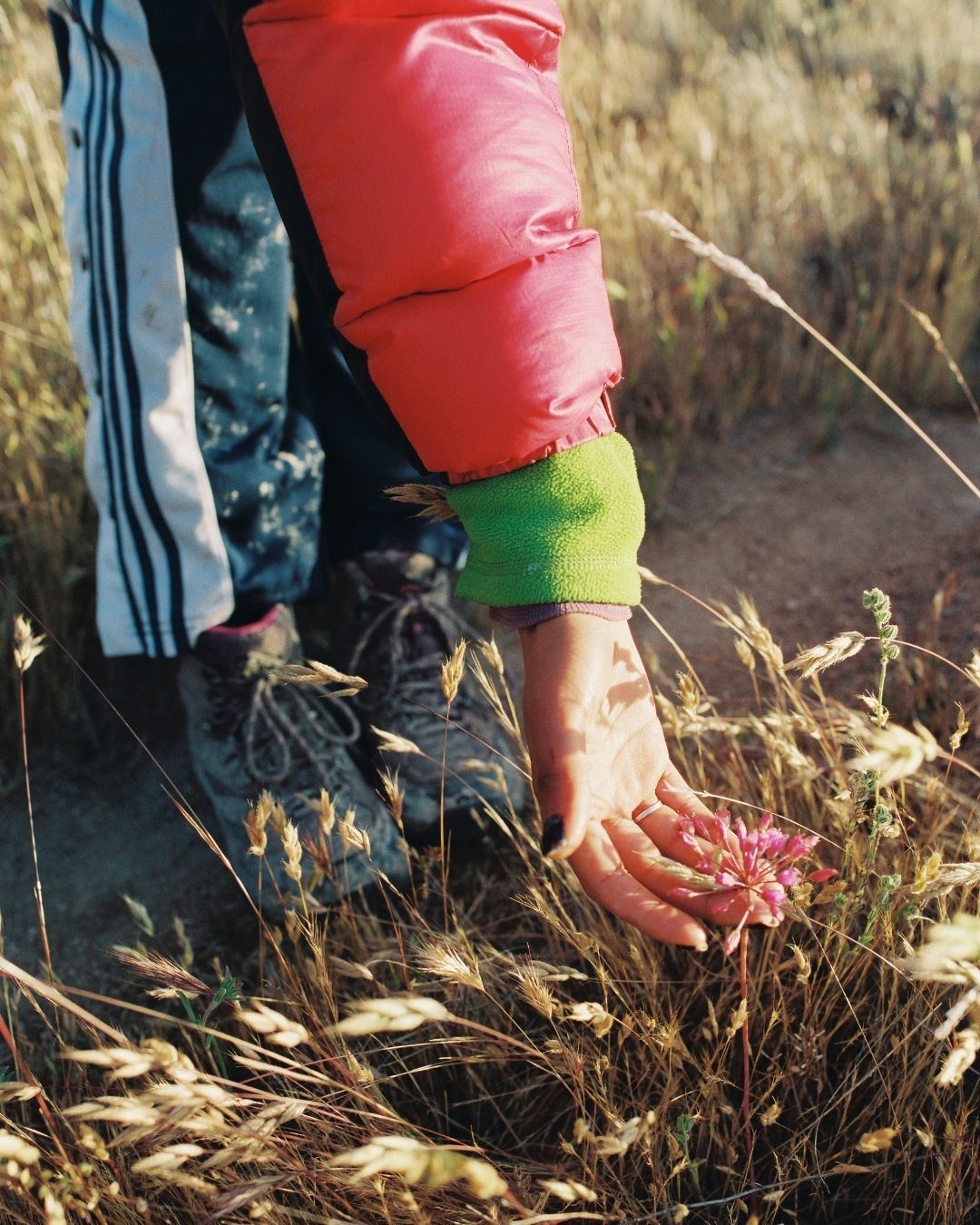 A decorative image from Usal Project