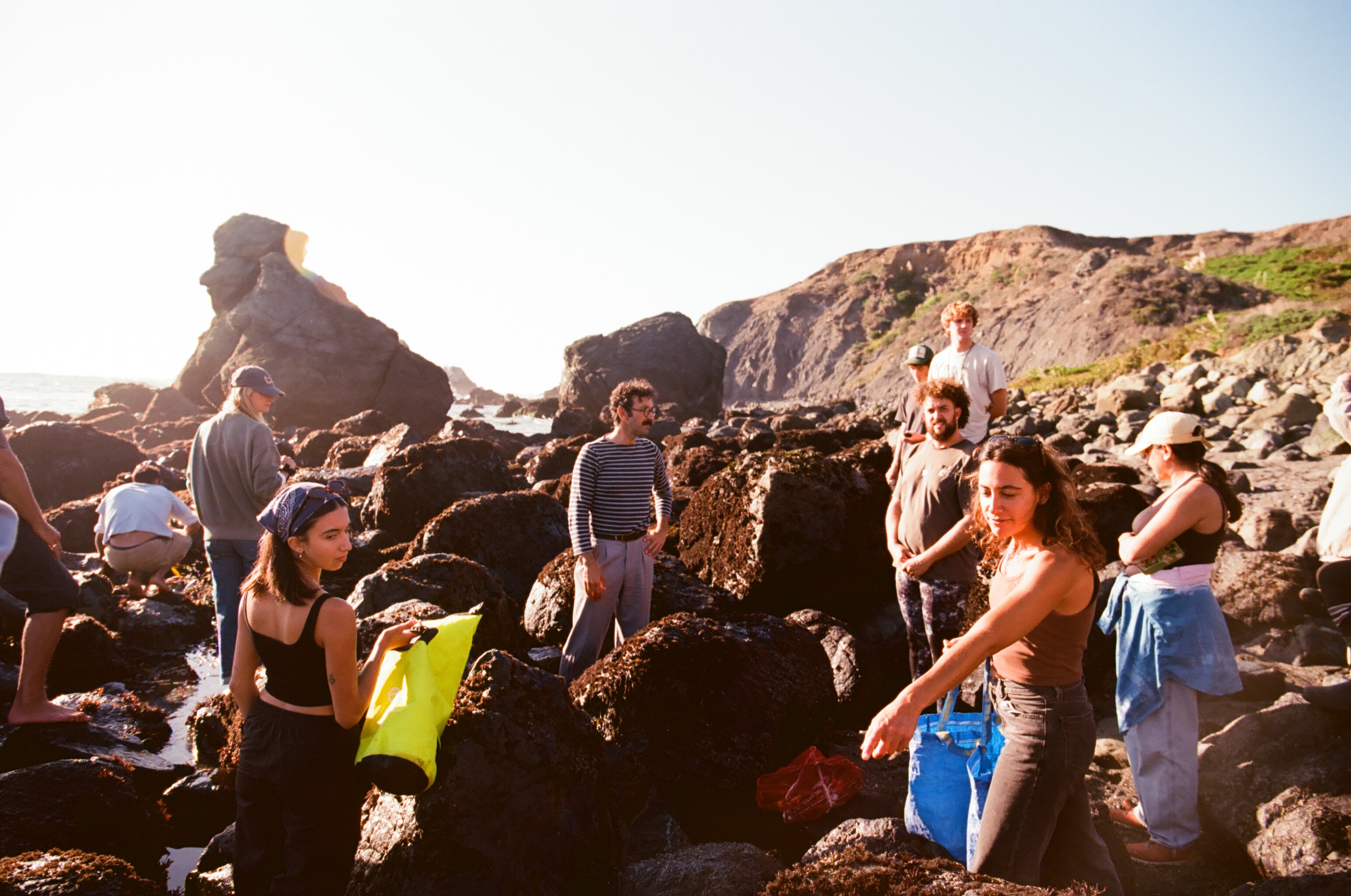 A decorative image from Usal Project