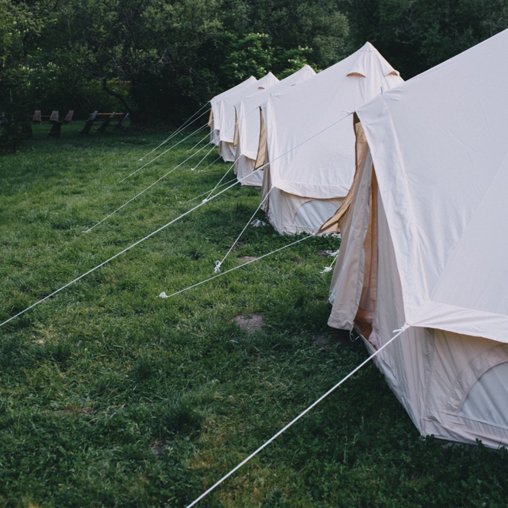 A decorative image from Usal Project