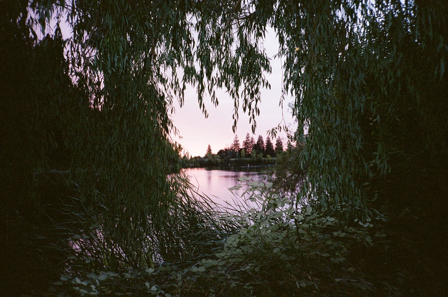 Hero Poster - A decorative image from Usal Project