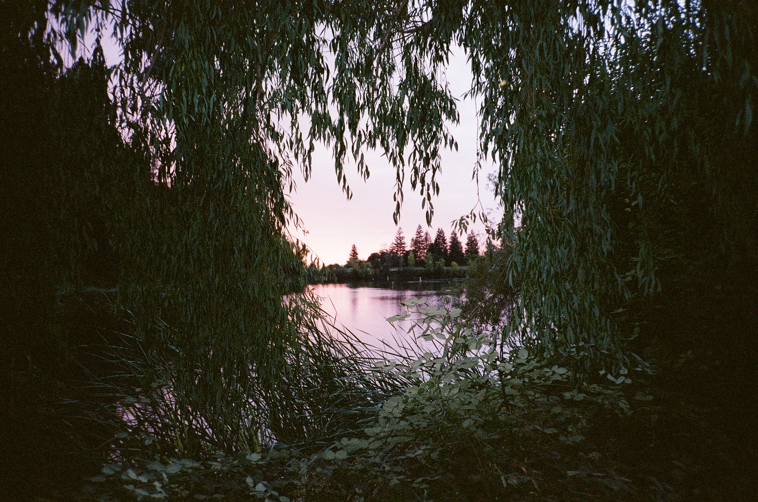 Hero Poster - A decorative image from Usal Project