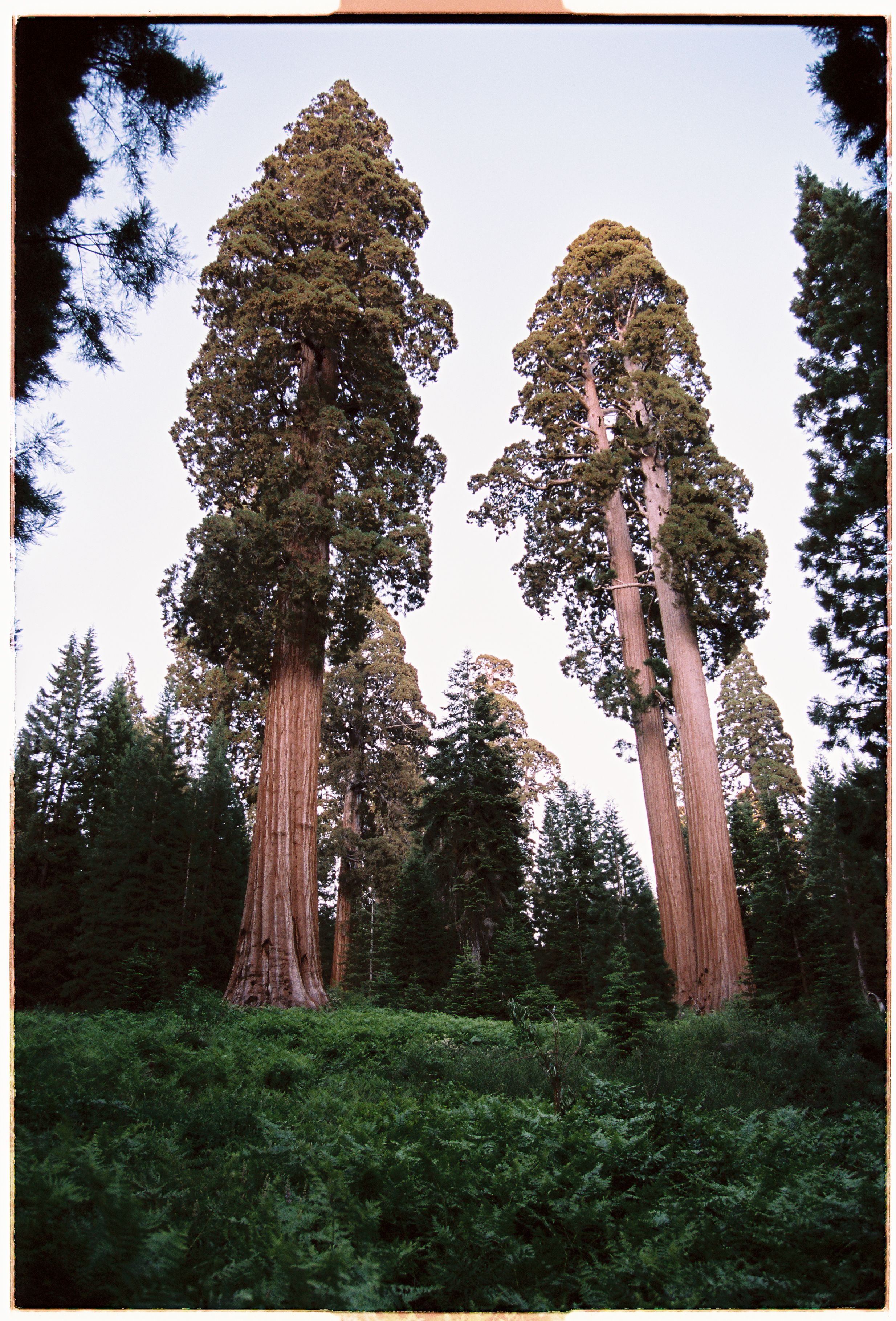 A decorative image from Usal Project