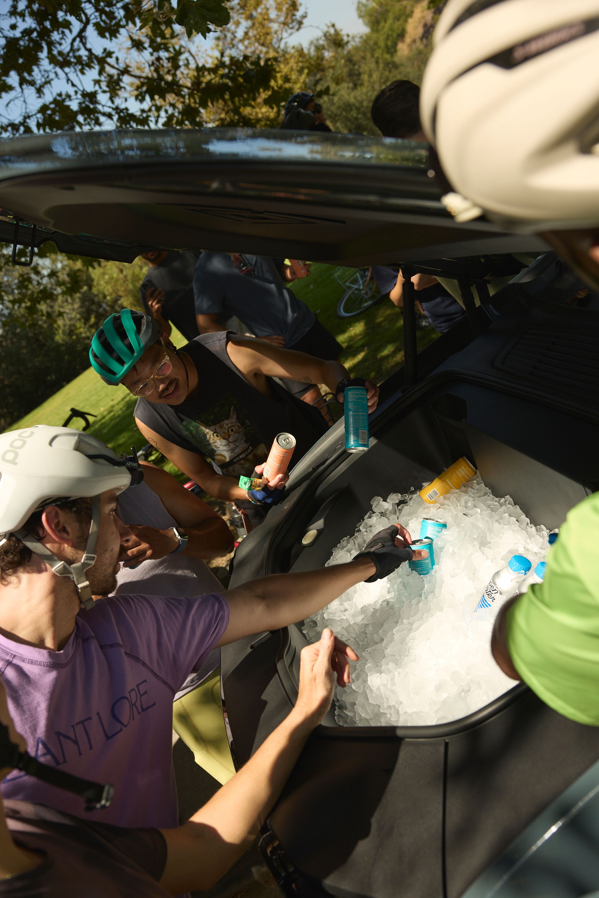 A decorative image from Usal Project