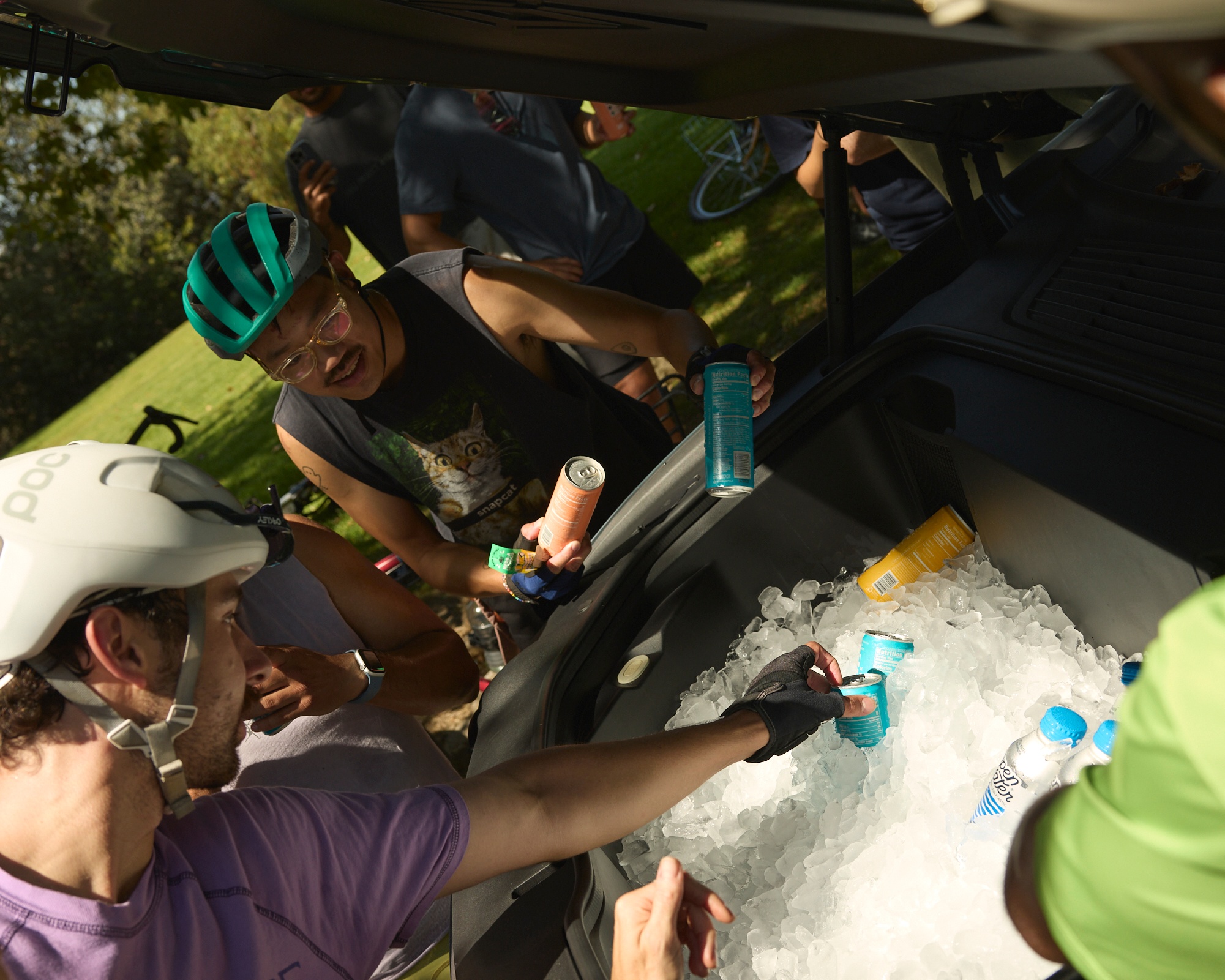 A decorative image from Usal Project