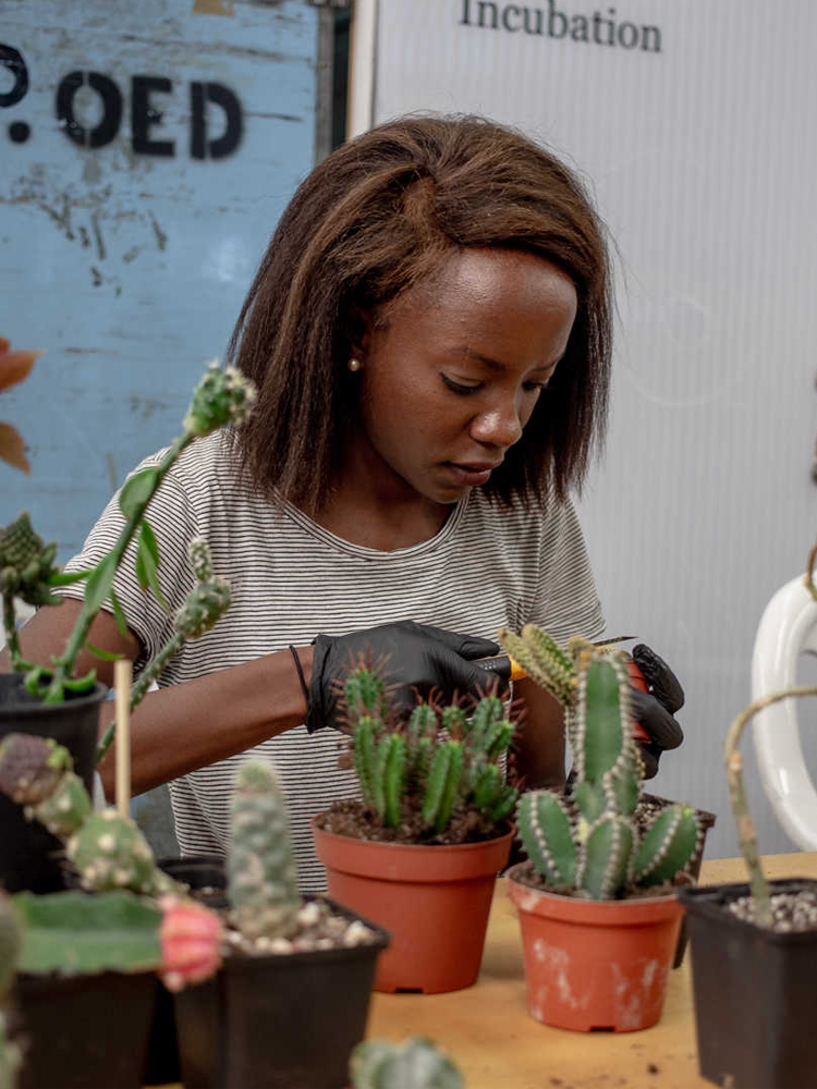 A decorative image from Usal Project