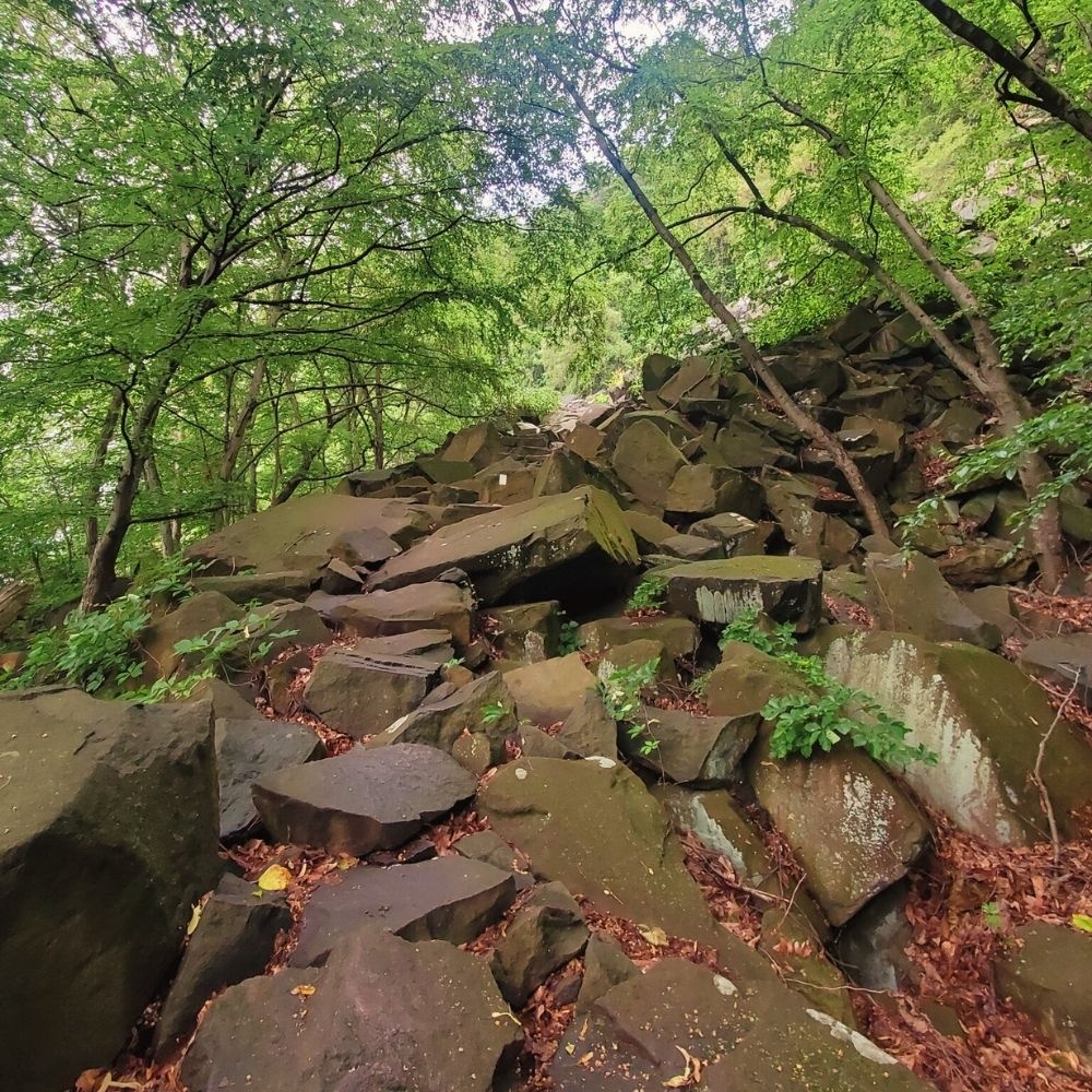 A decorative image from Usal Project