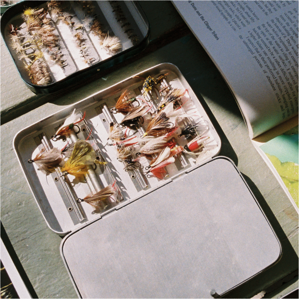 A decorative image from Usal Project