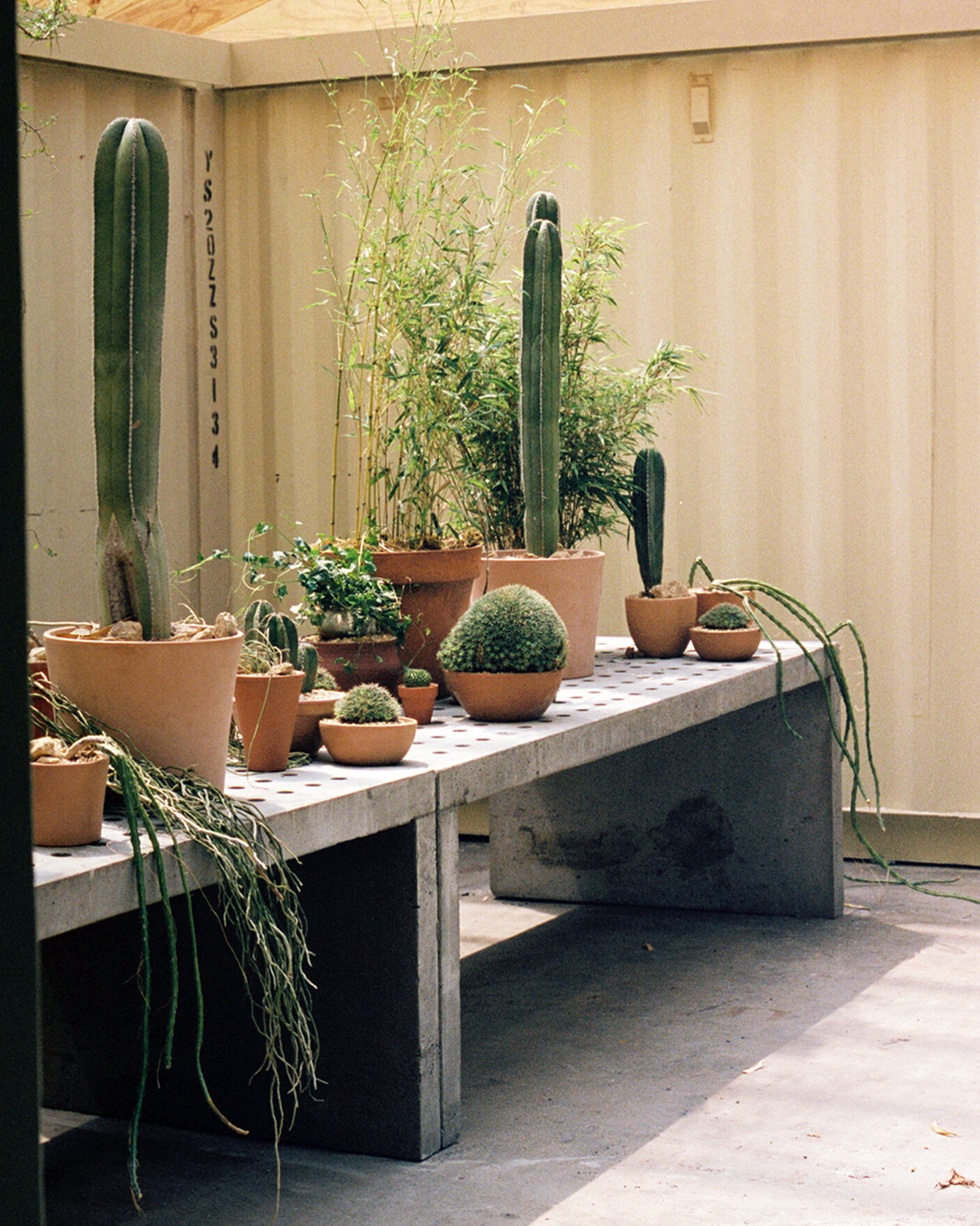 A decorative image from Usal Project