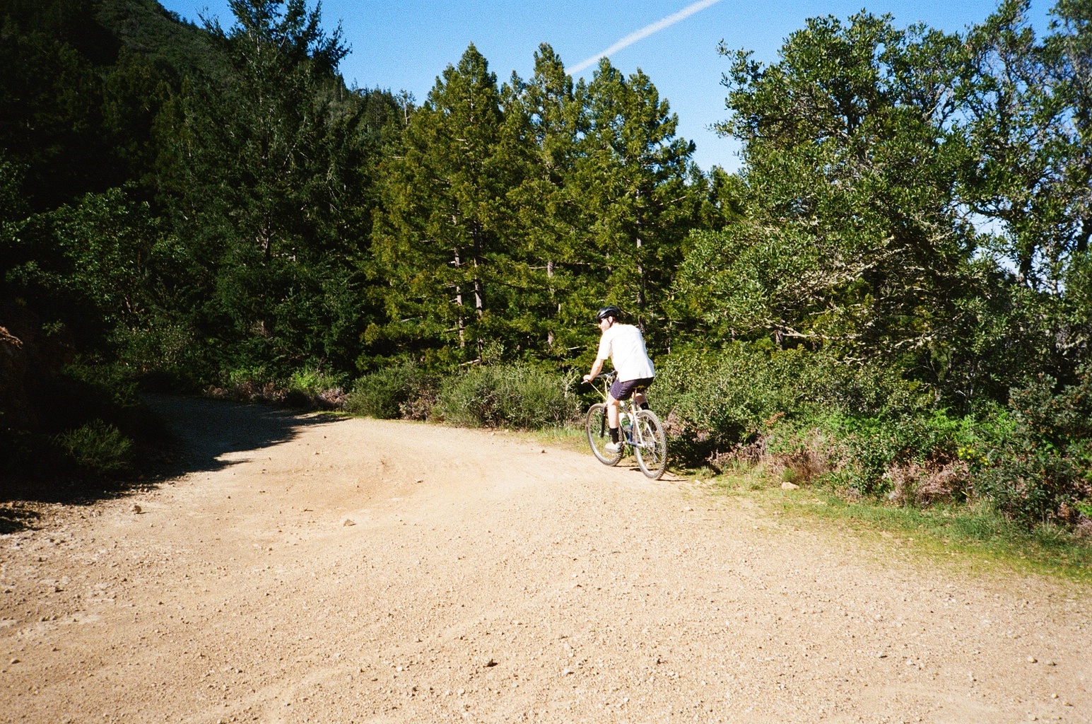 A decorative image from Usal Project