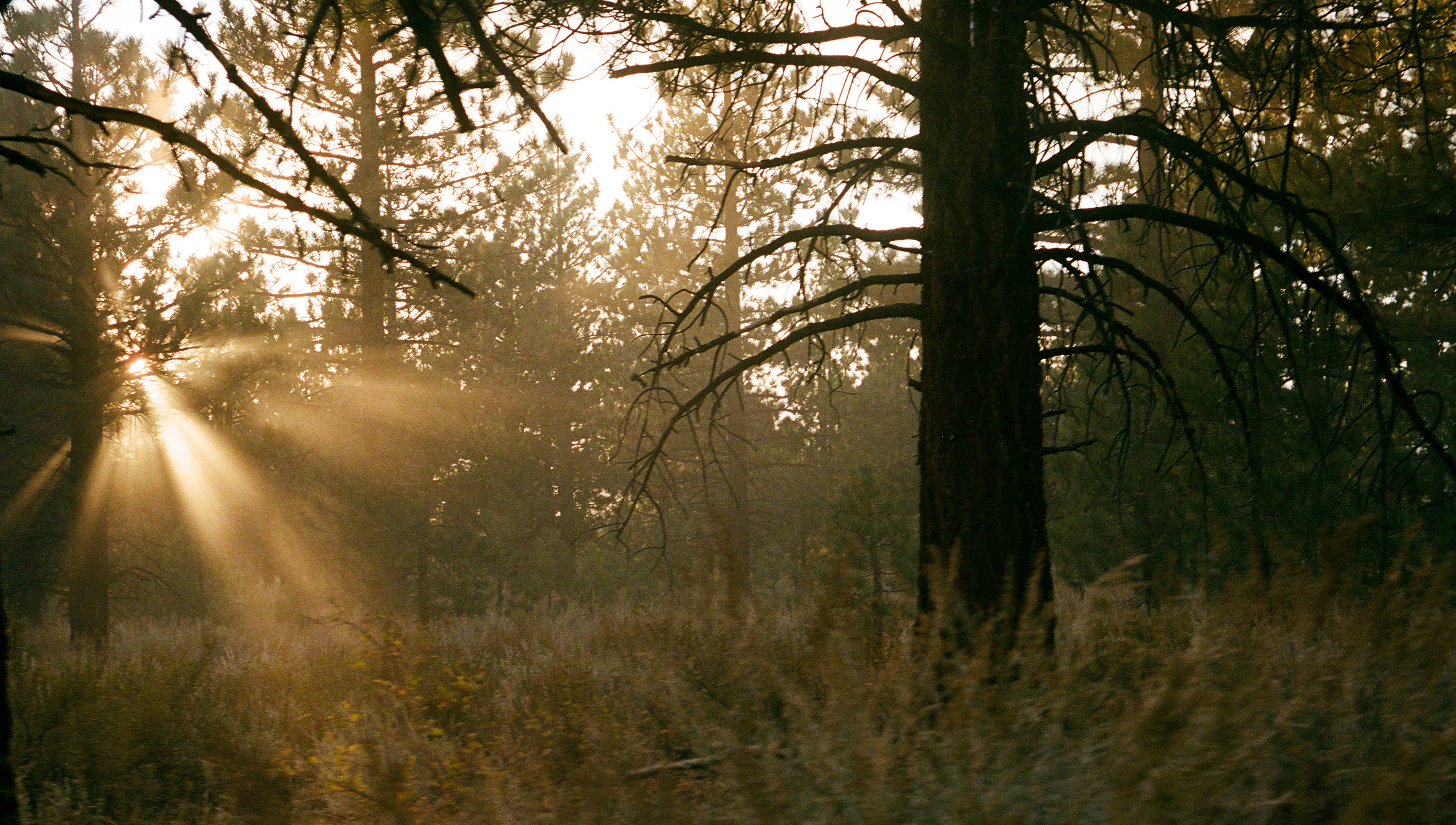 Hero Poster - A decorative image from Usal Project