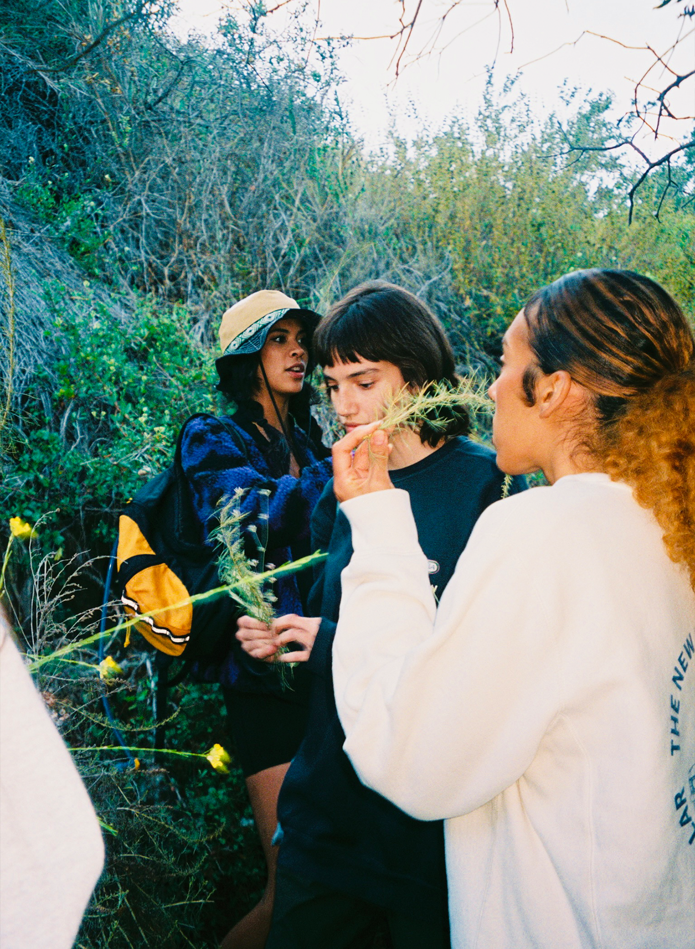 A decorative image from Usal Project