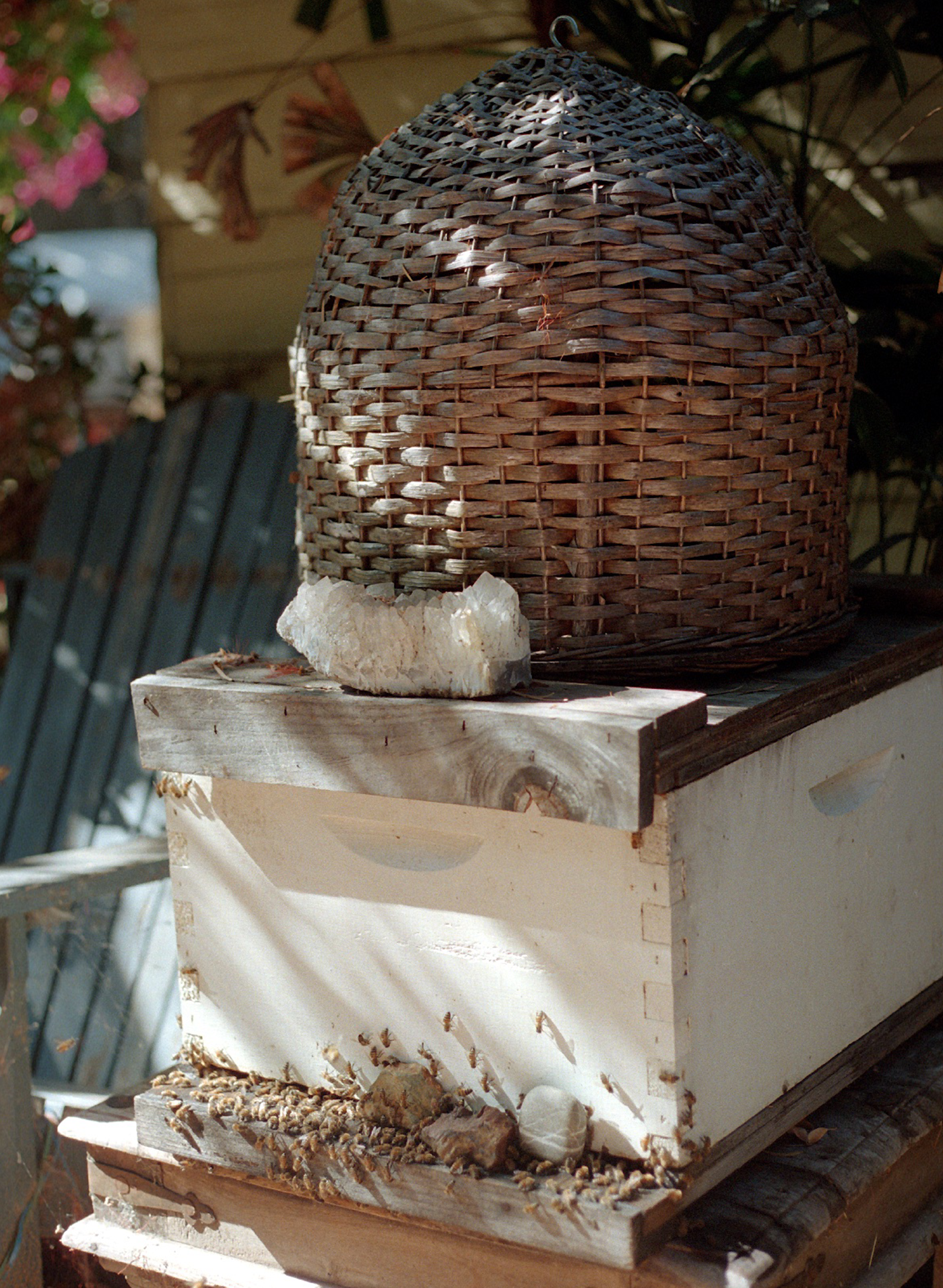 A decorative image from Usal Project