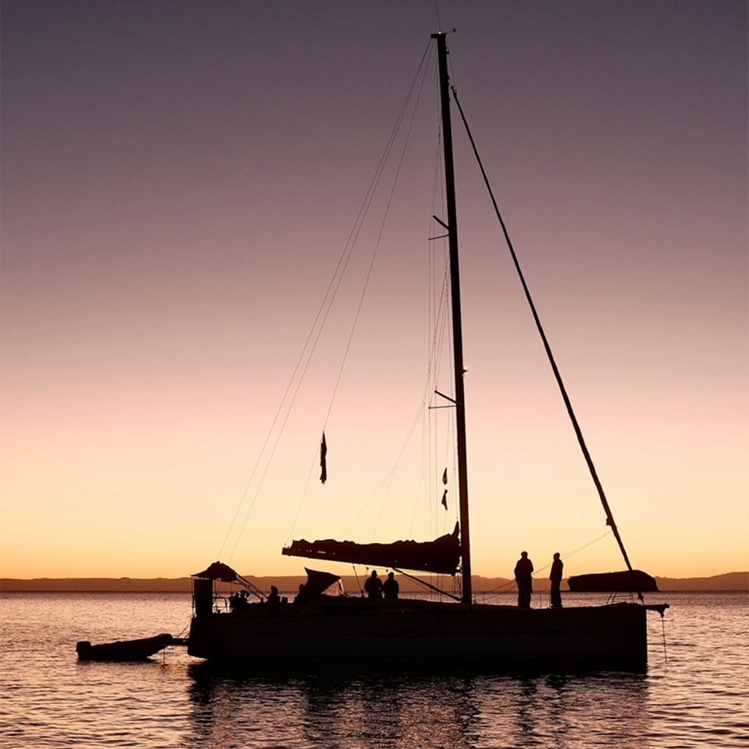 A decorative image from Usal Project