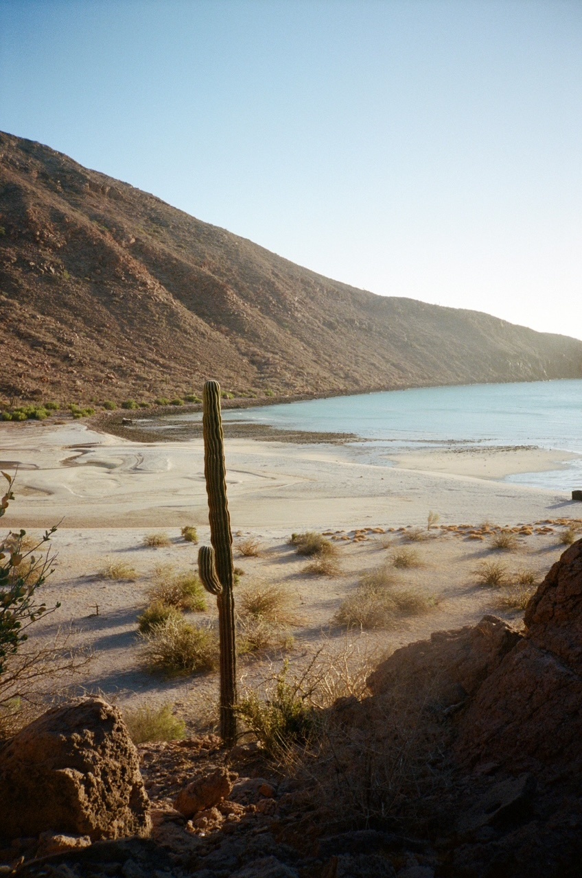 A decorative image from Usal Project