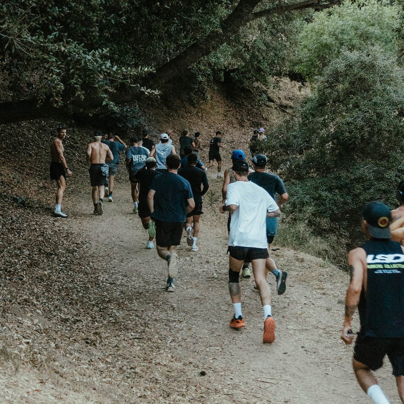 A decorative image from Usal Project