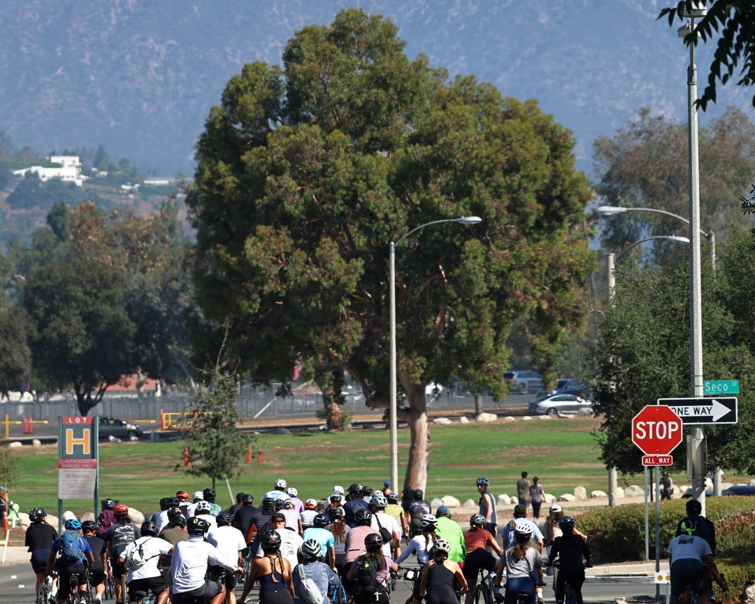 A decorative image from Usal Project