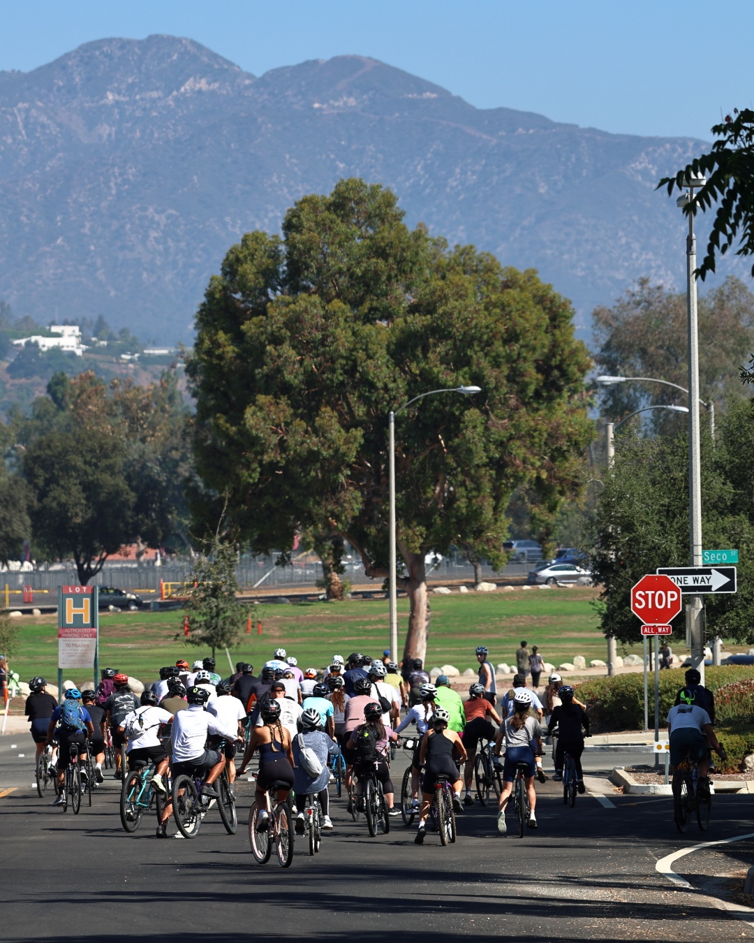 A decorative image from Usal Project