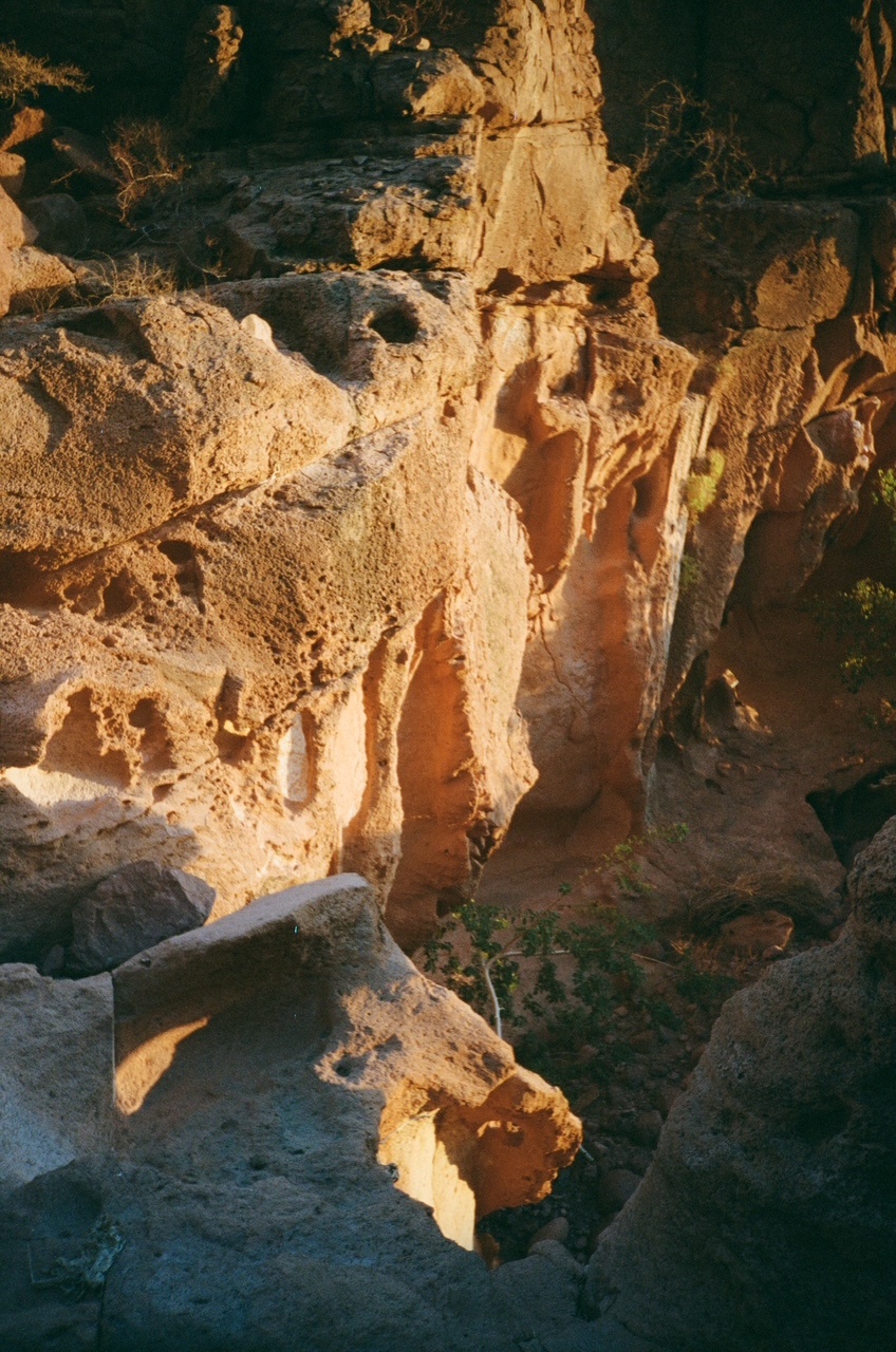 A decorative image from Usal Project