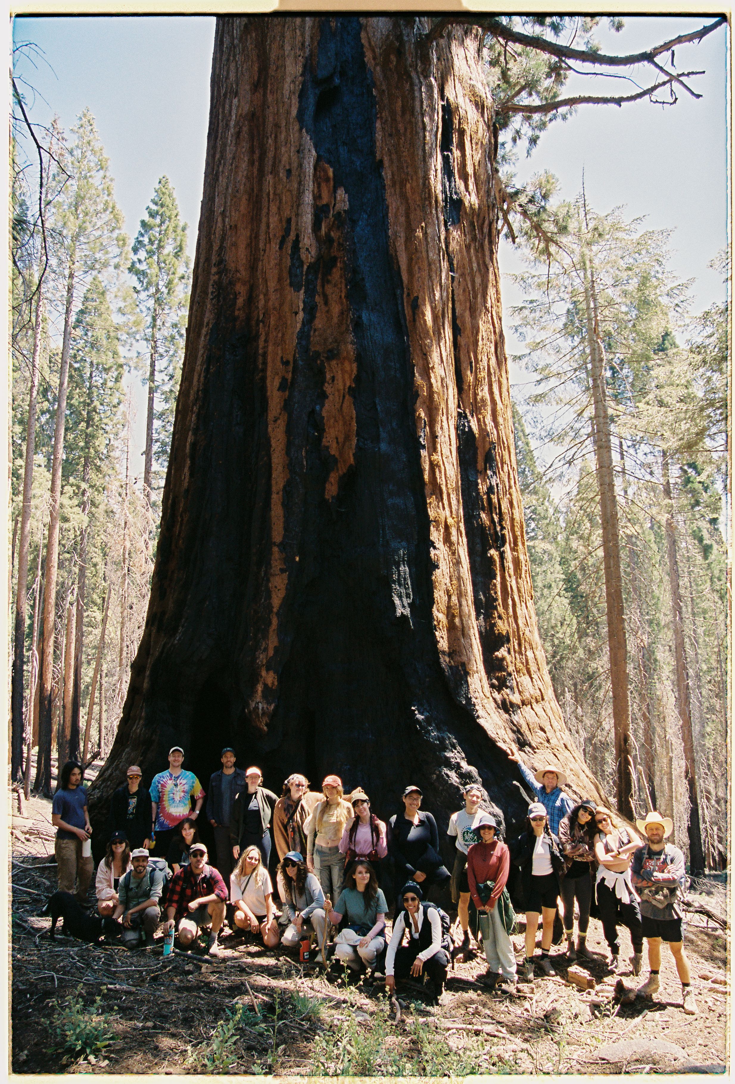 A decorative image from Usal Project