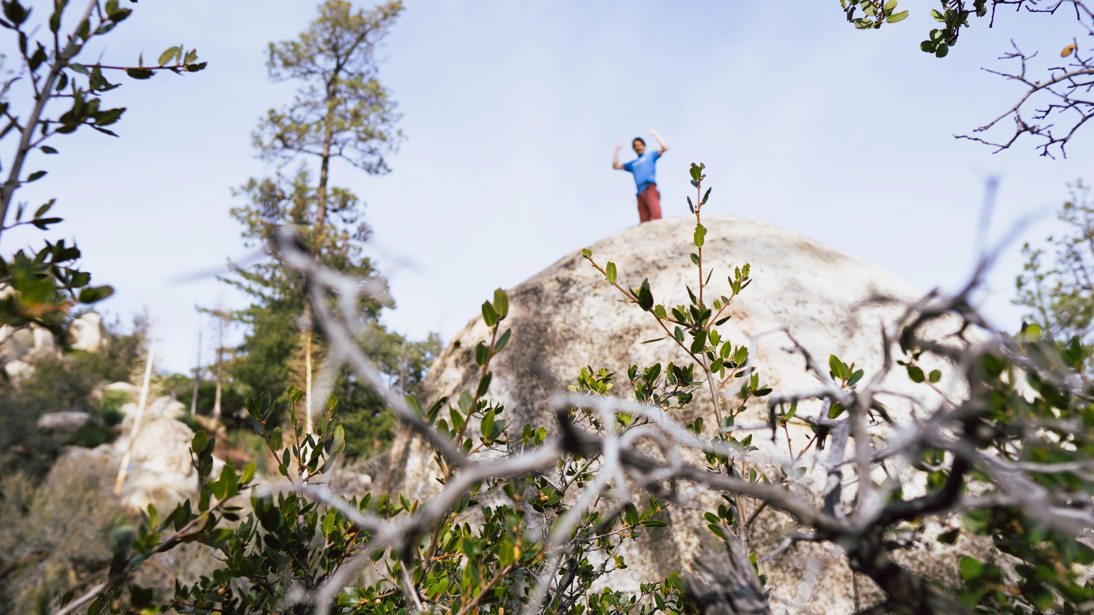 Hero Poster - A decorative image from Usal Project