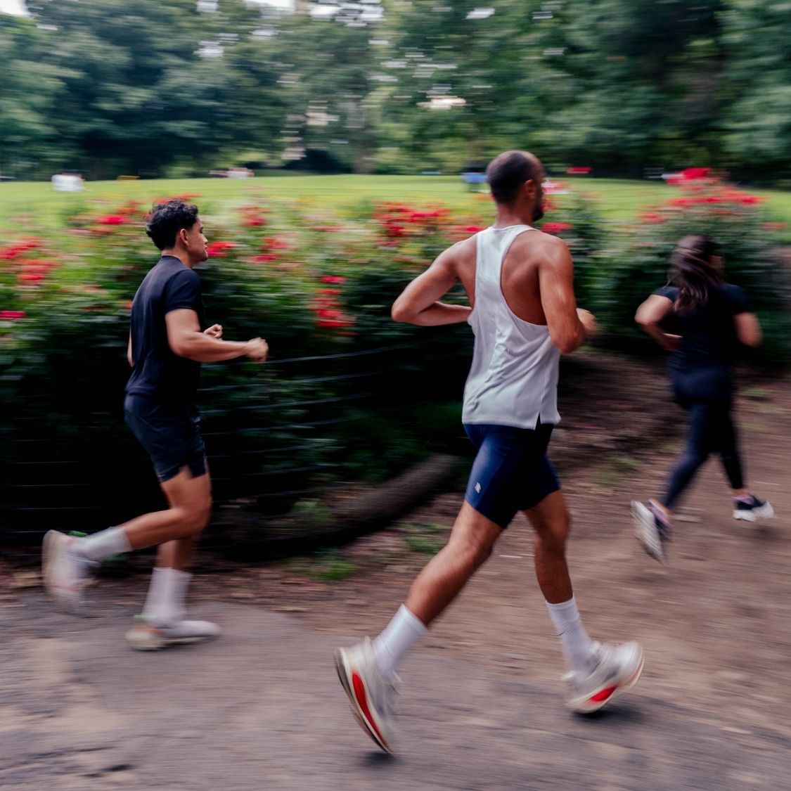 A decorative image from Usal Project