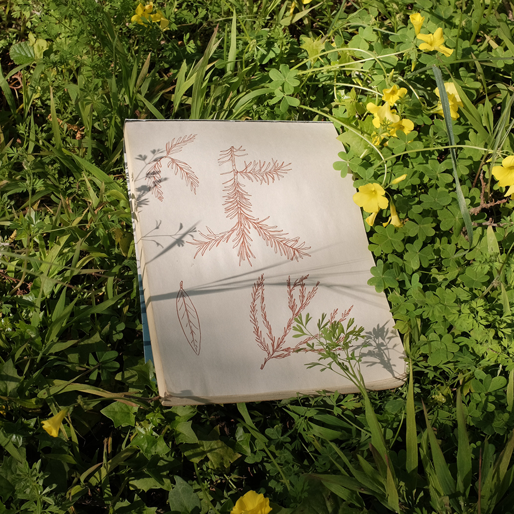 A decorative image from Usal Project