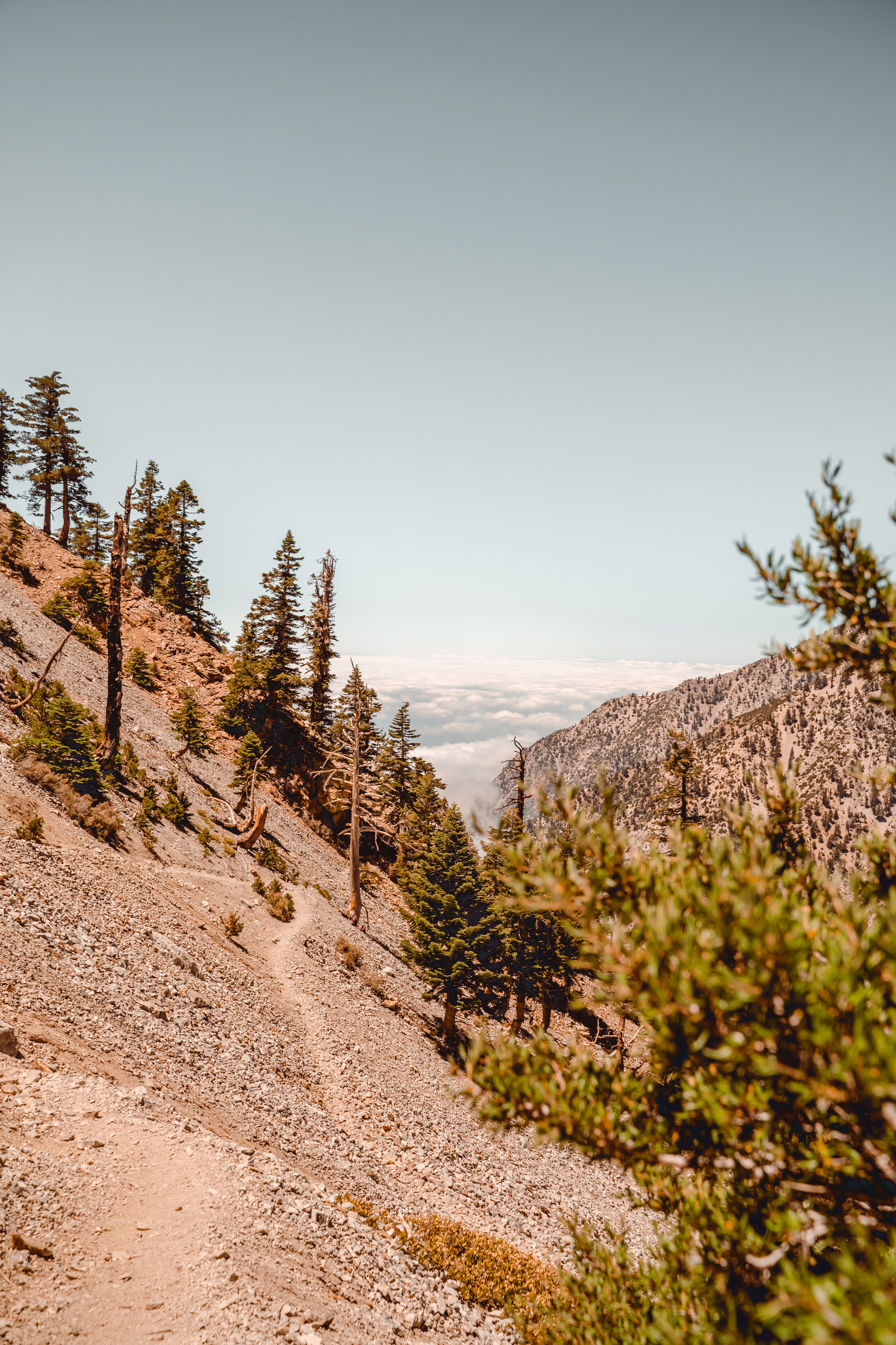 Hero Poster Mobile - A decorative image from Usal Project