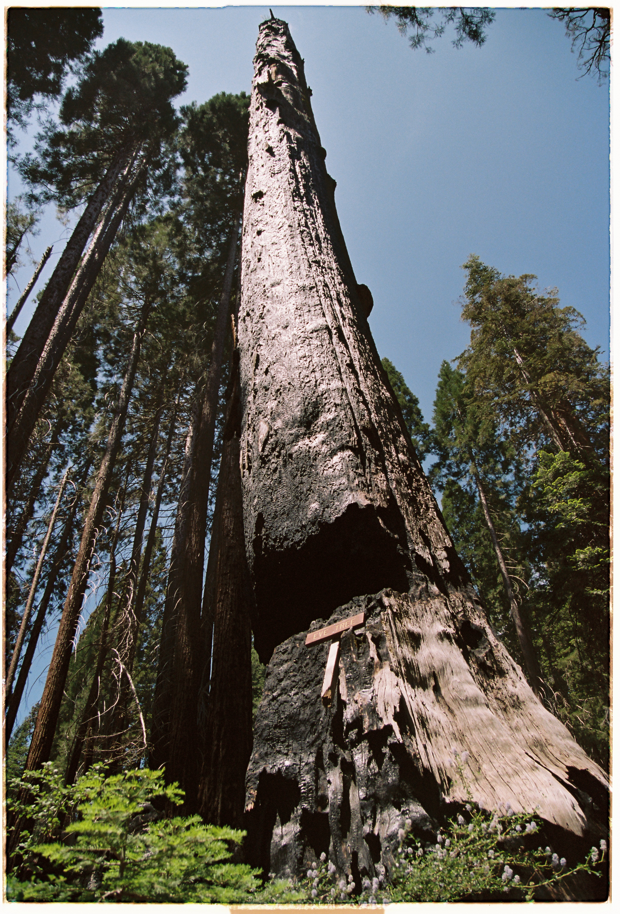 A decorative image from Usal Project