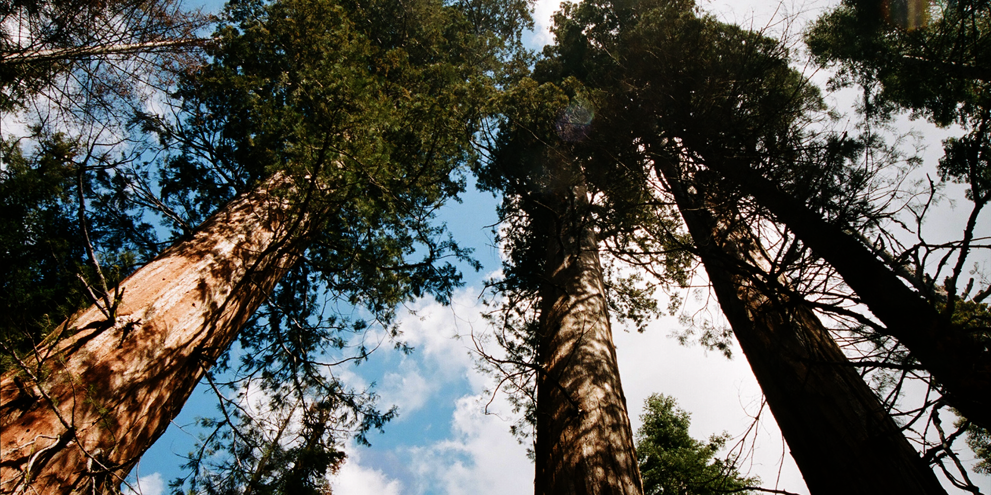 Hero Poster - A decorative image from Usal Project