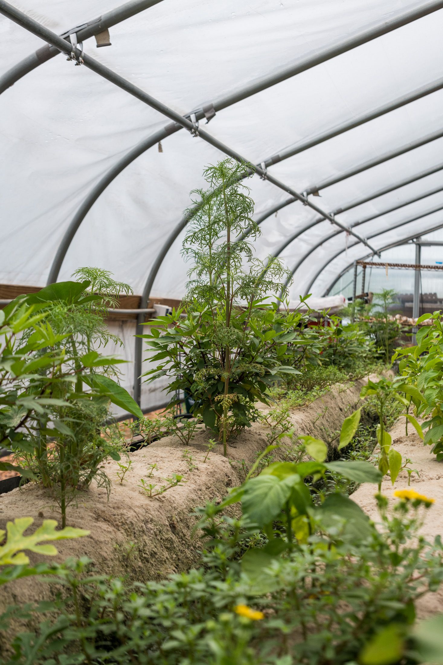 Hero Poster Mobile - A decorative image from Usal Project