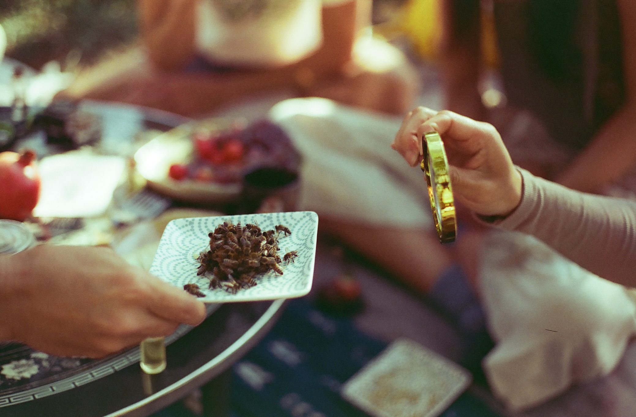 A decorative image from Usal Project