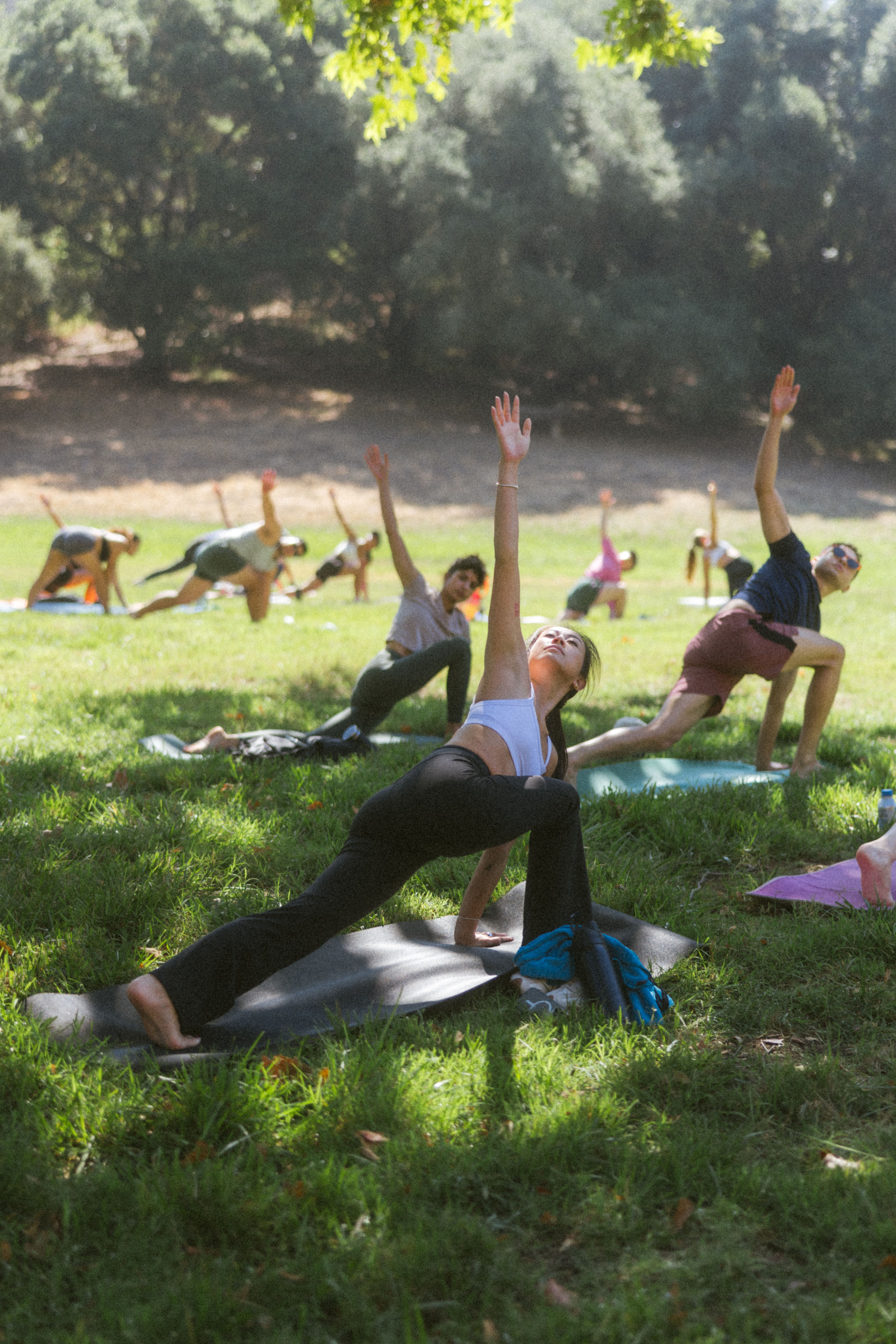 A decorative image from Usal Project