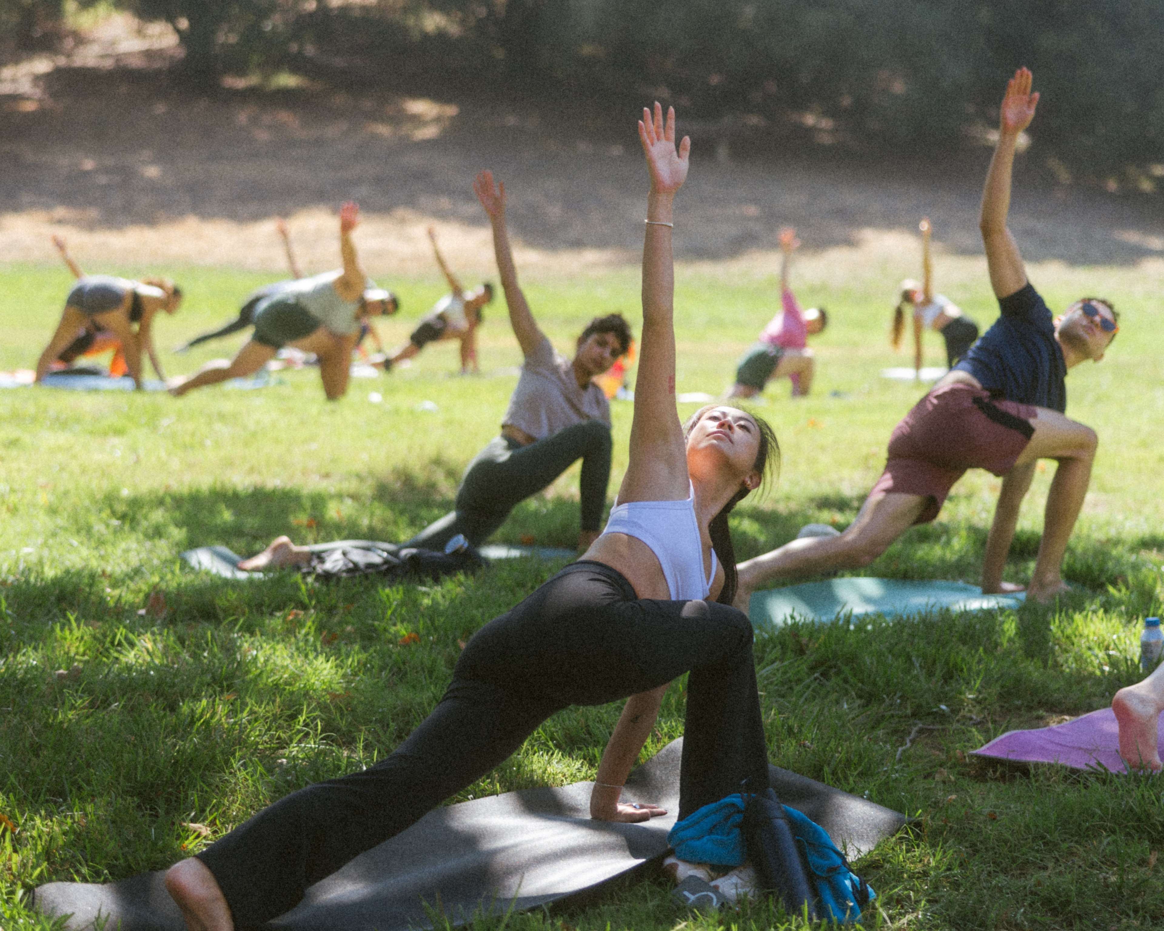 A decorative image from Usal Project