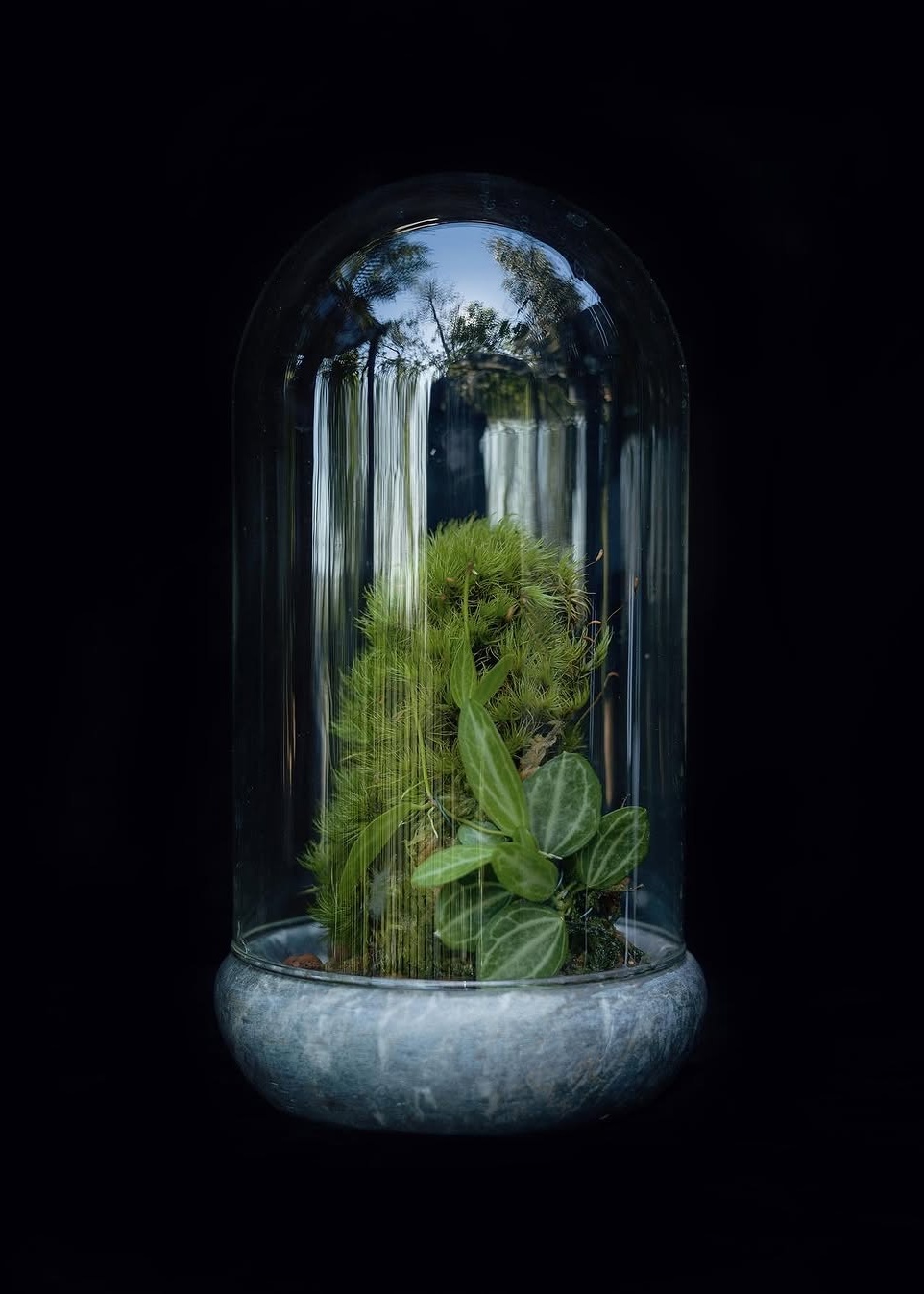 Hero Poster Mobile - A decorative image from Usal Project