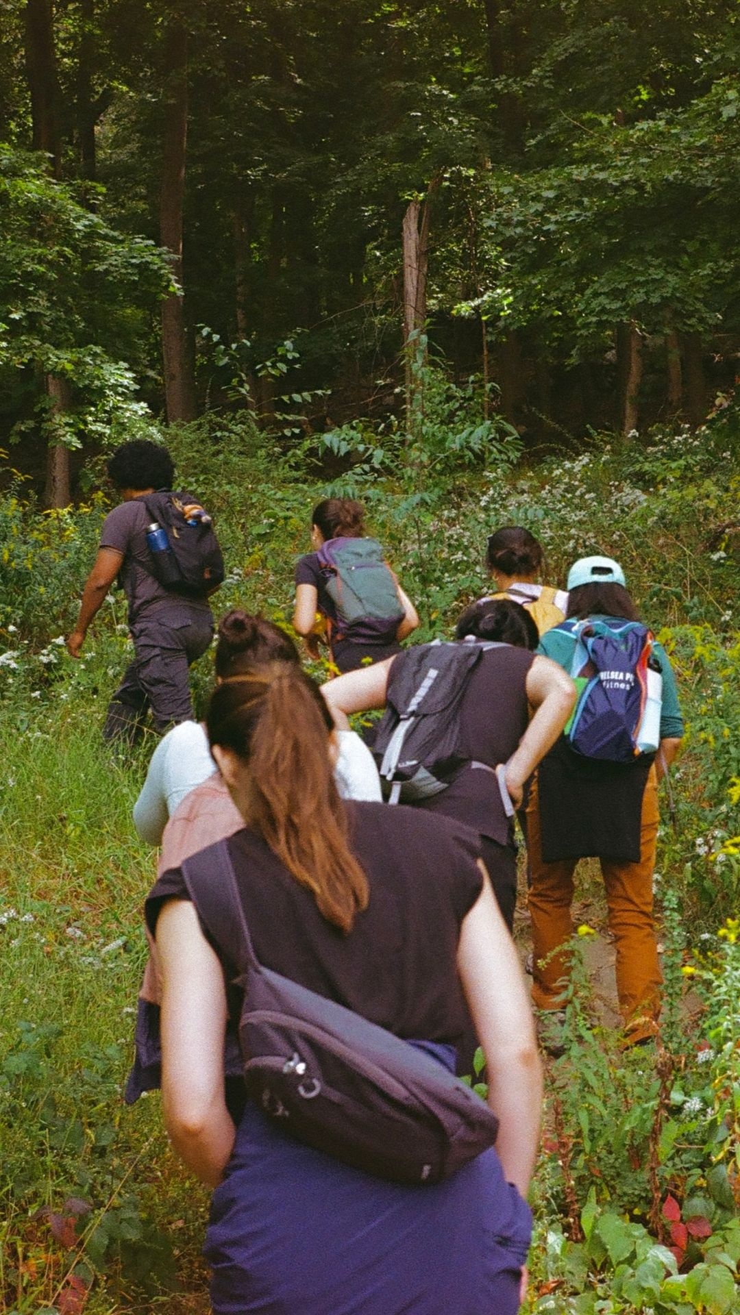 Hero Poster Mobile - A decorative image from Usal Project