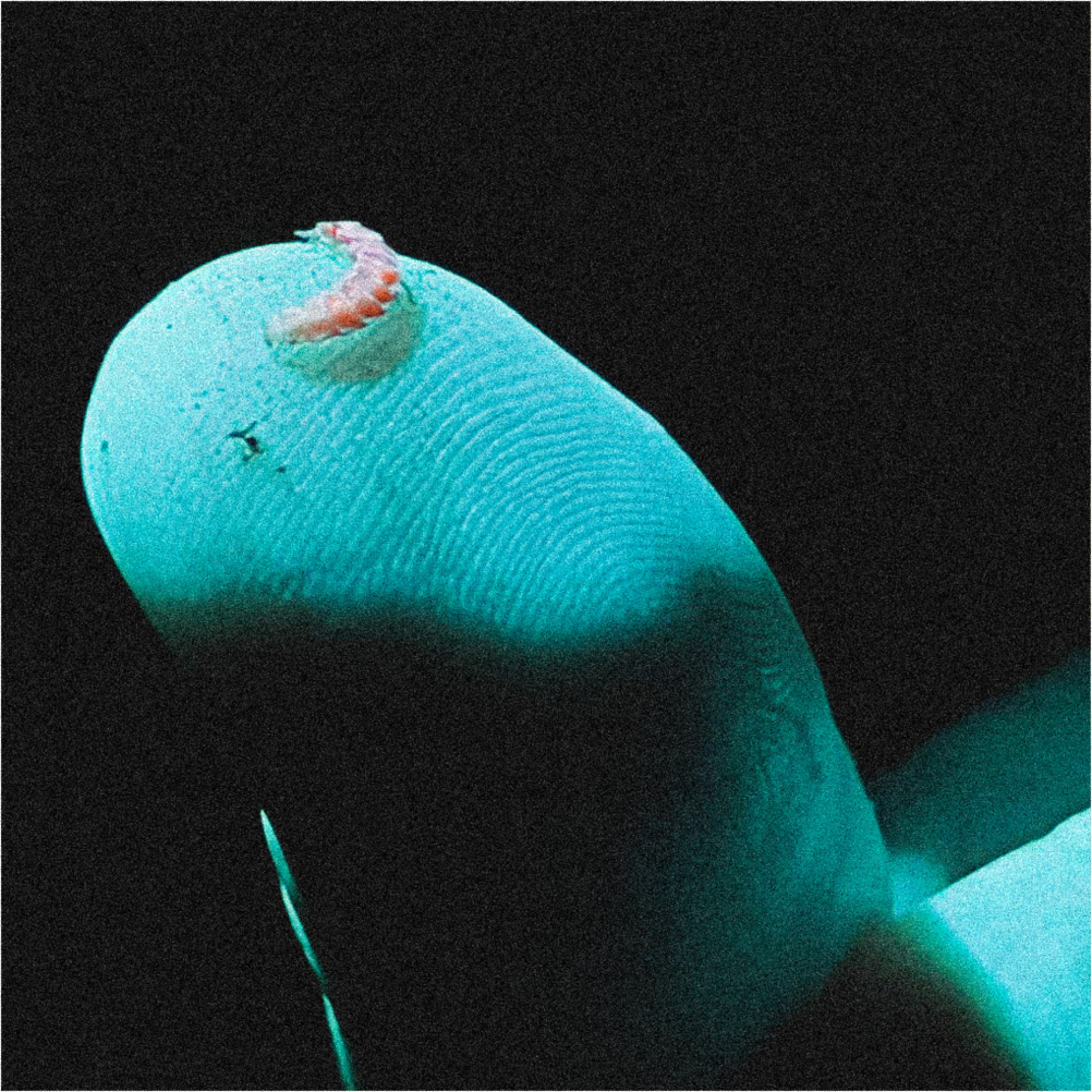 A decorative image from Usal Project