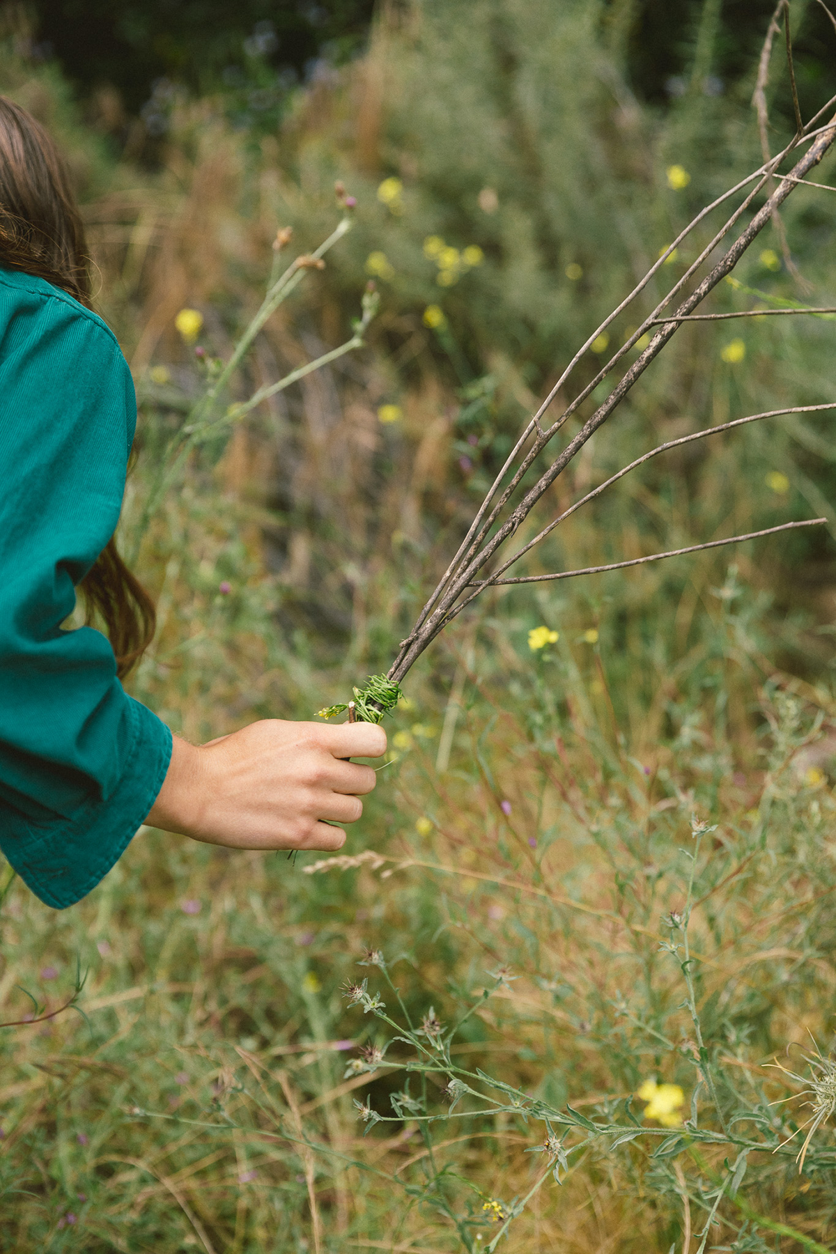 A decorative image from Usal Project